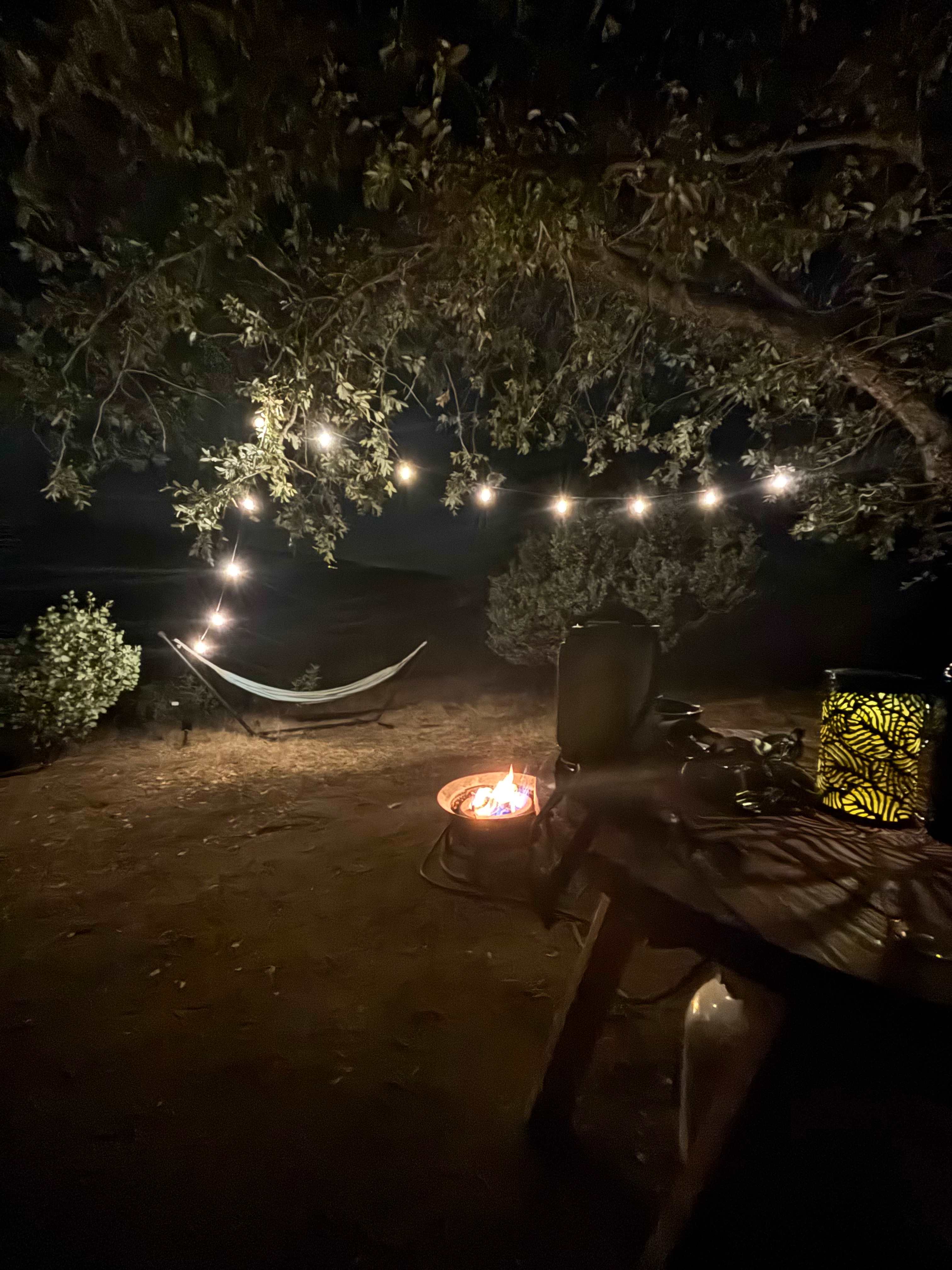 Camp 🏕 Gold Dust Vineyard