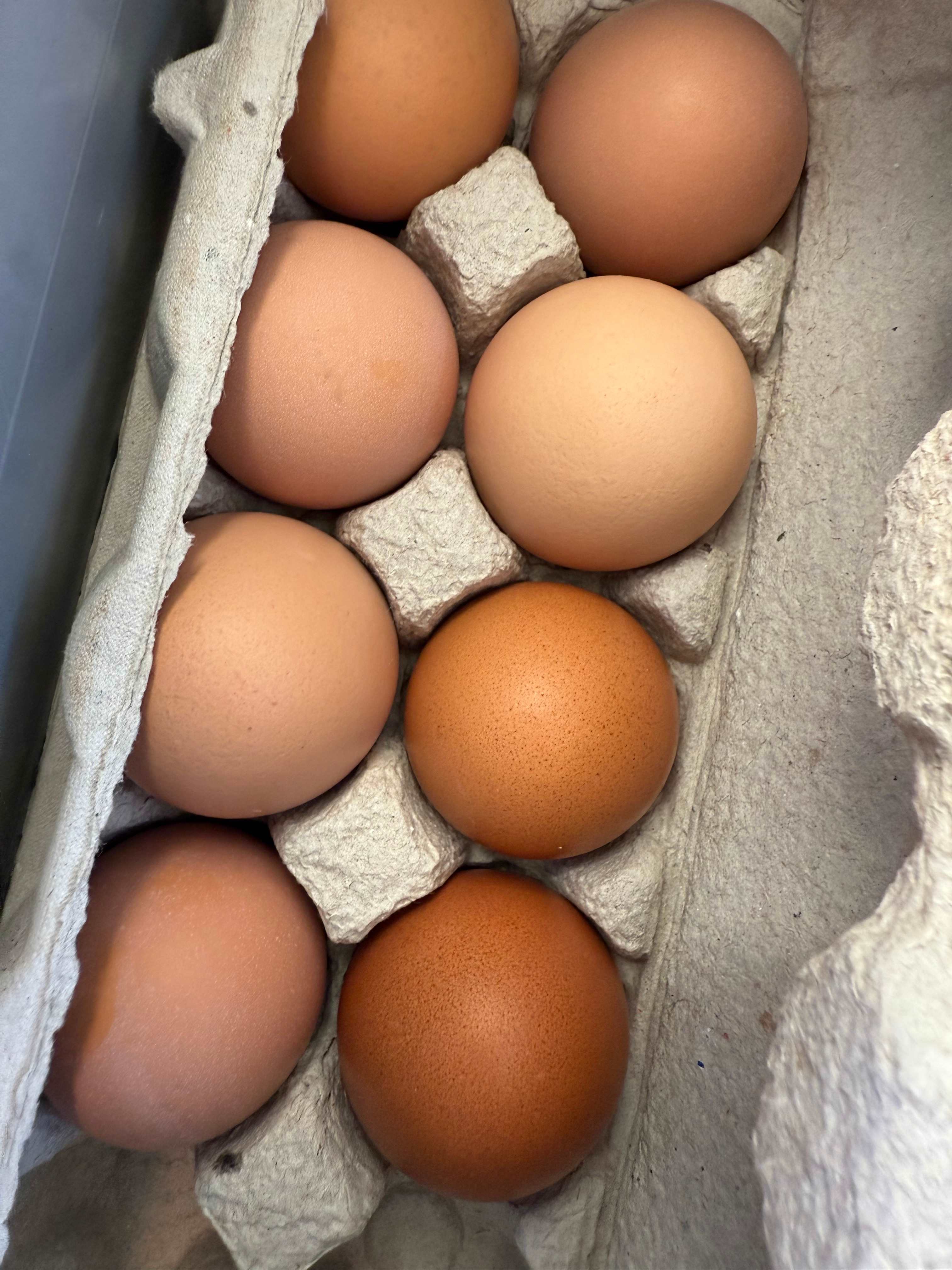 You MUST get the eggs. Nothing like fresh eggs in the morning with breakfast. So glad Jamie had some available for us. 