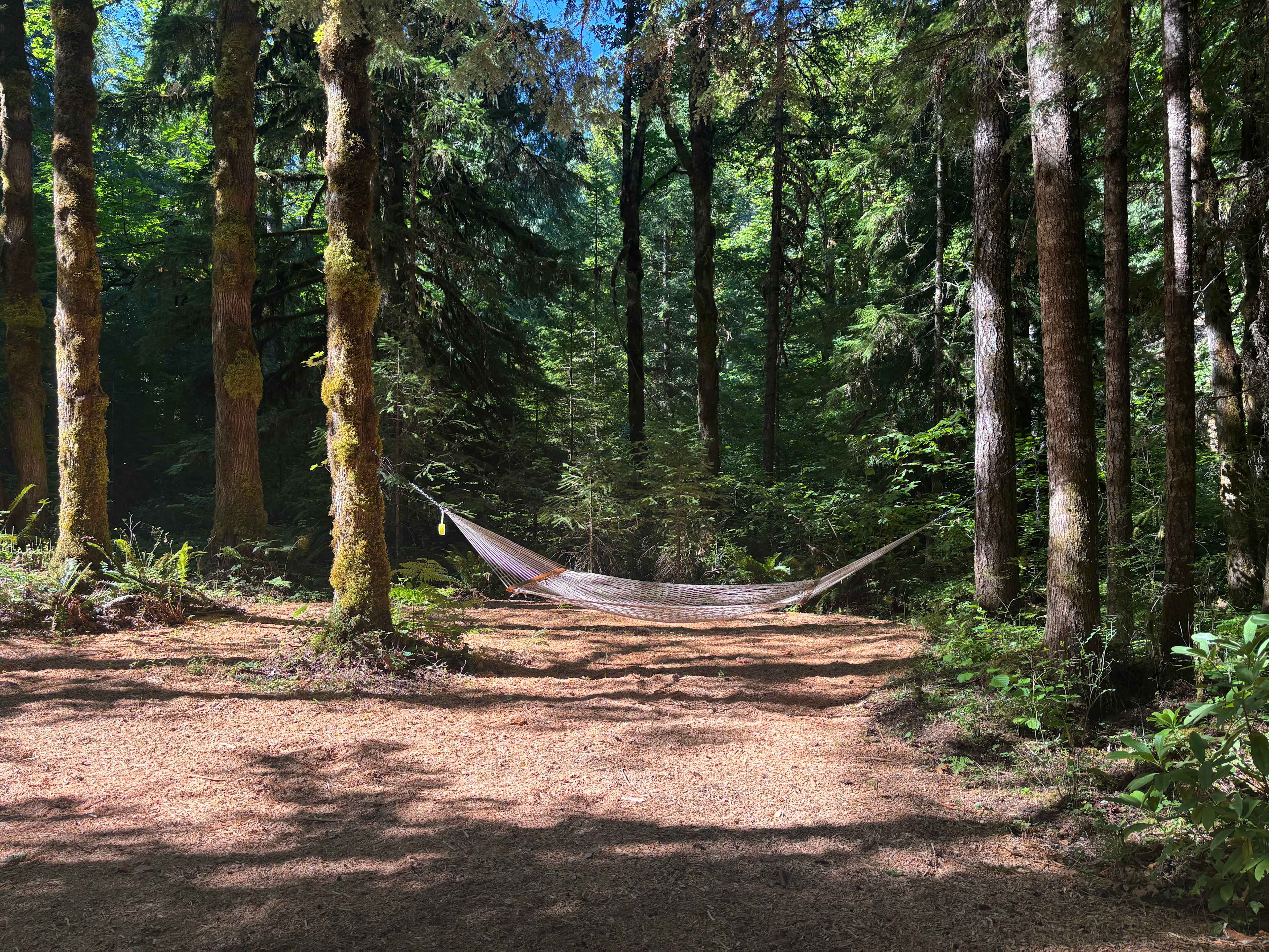 Shelter at Castle Rock Farm