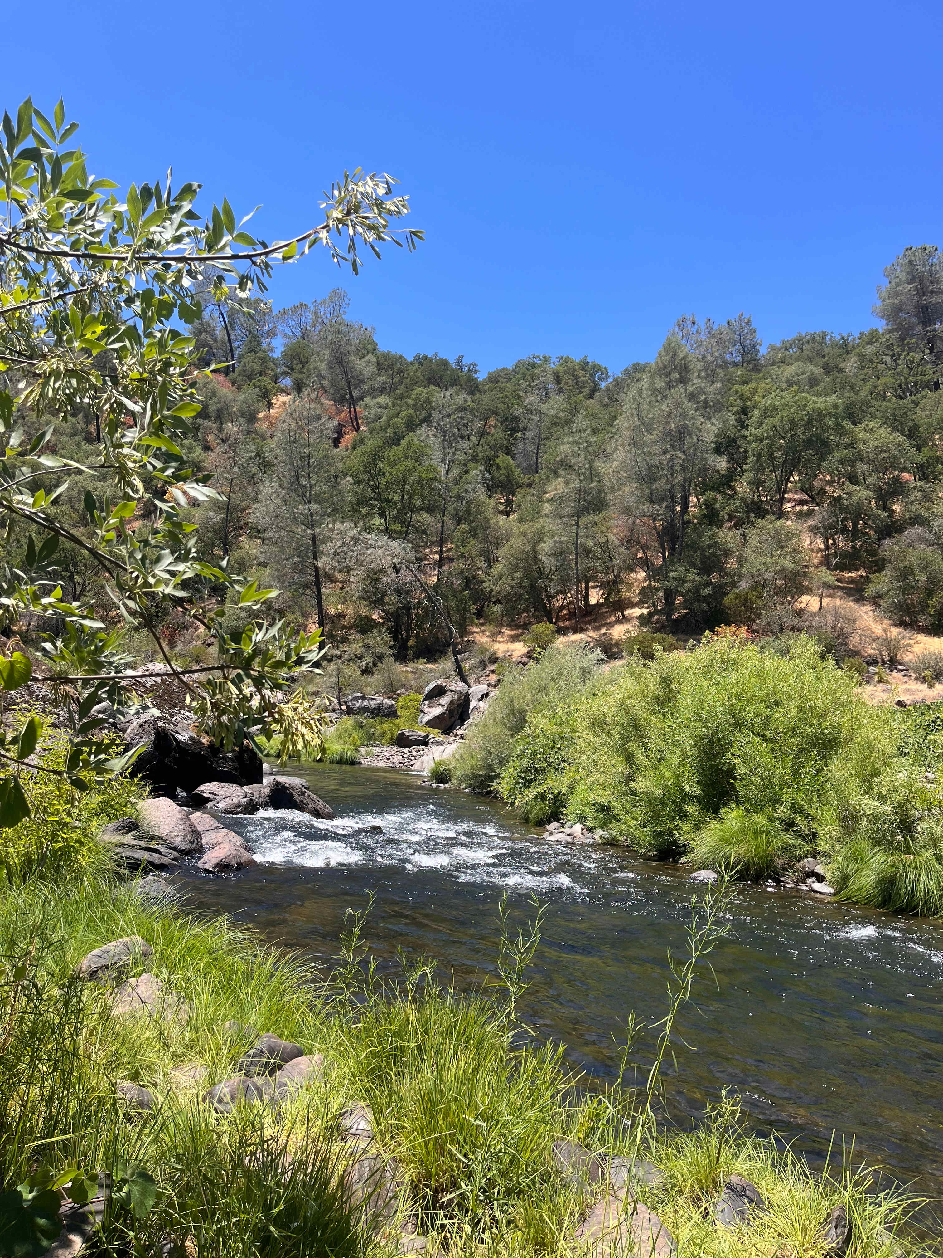 Cosumnes River Ranch