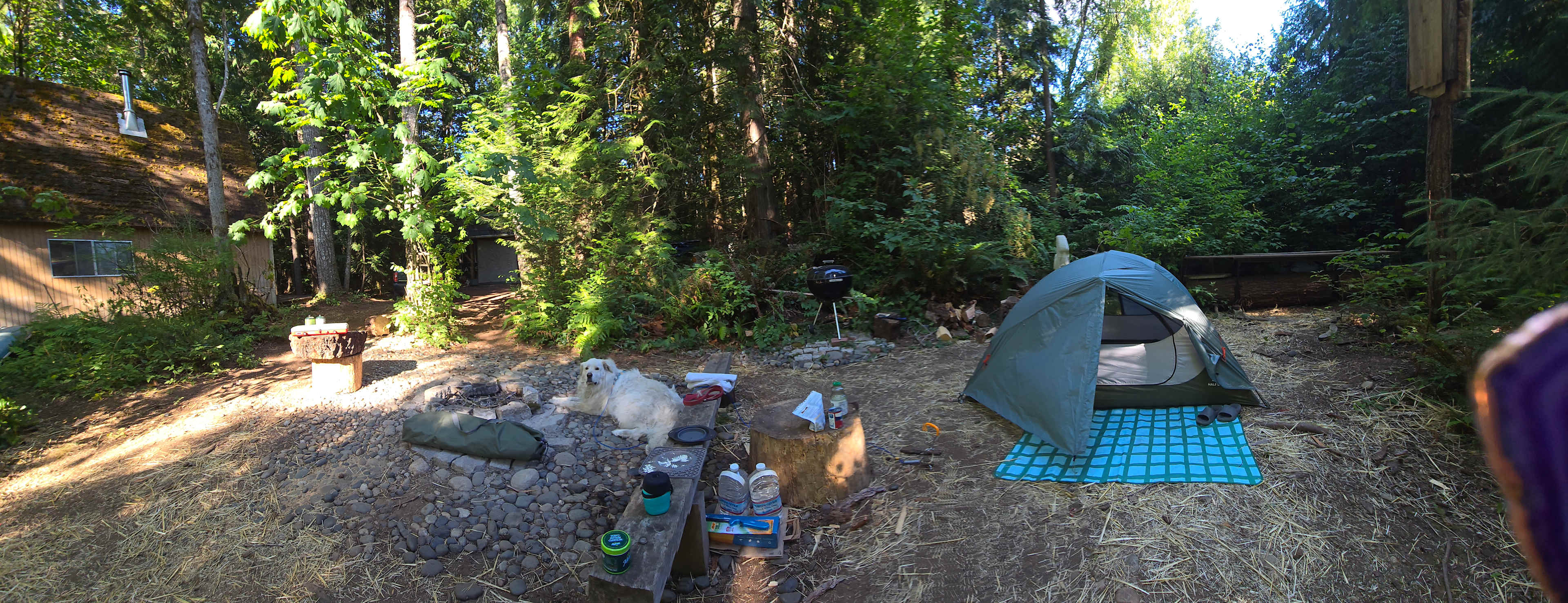 Curley Creek Canyon