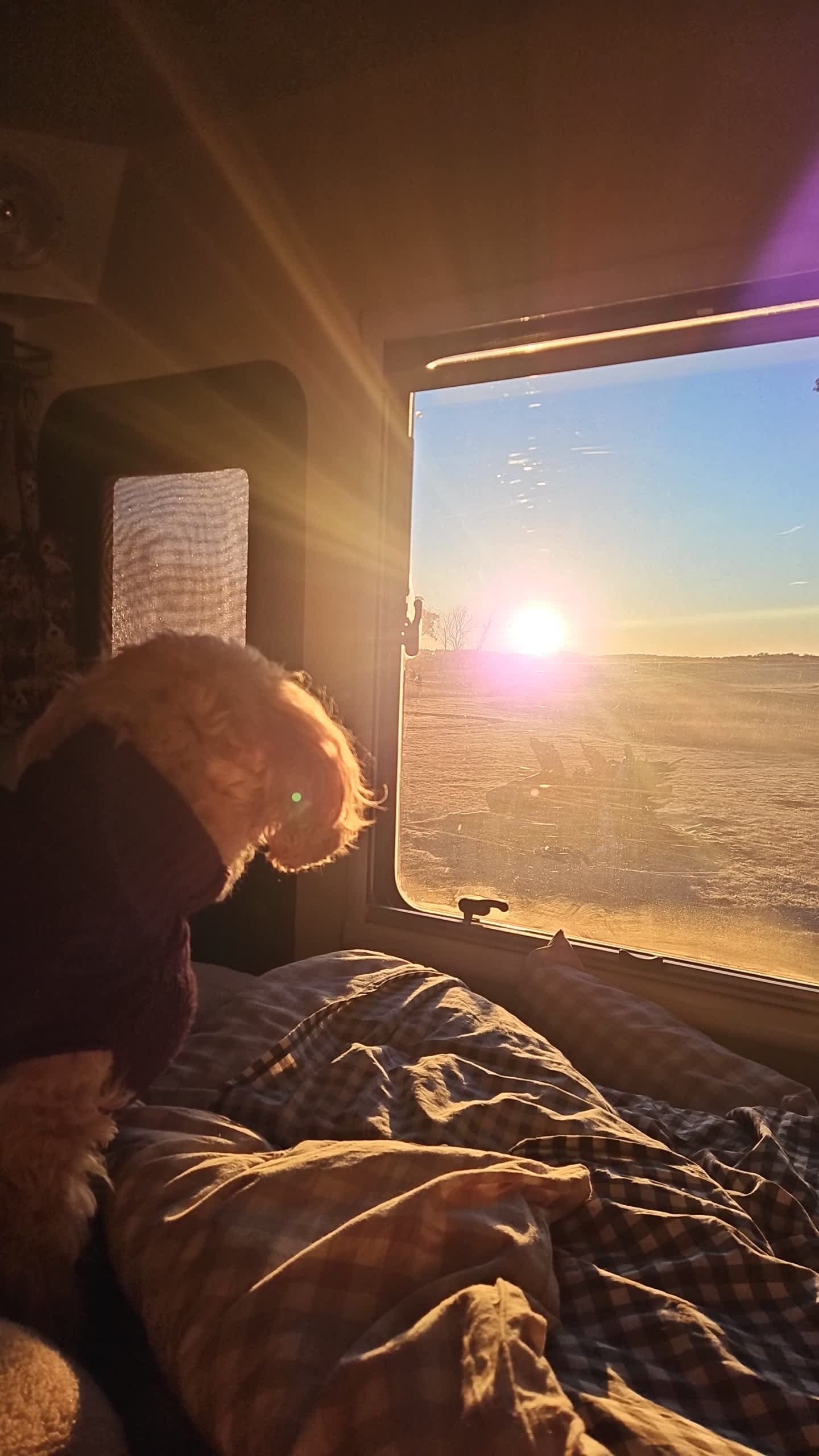 Sunrise