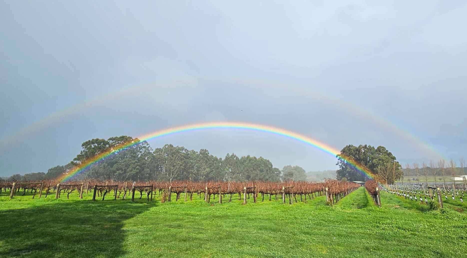 Jarvis Estate Winery & Camping