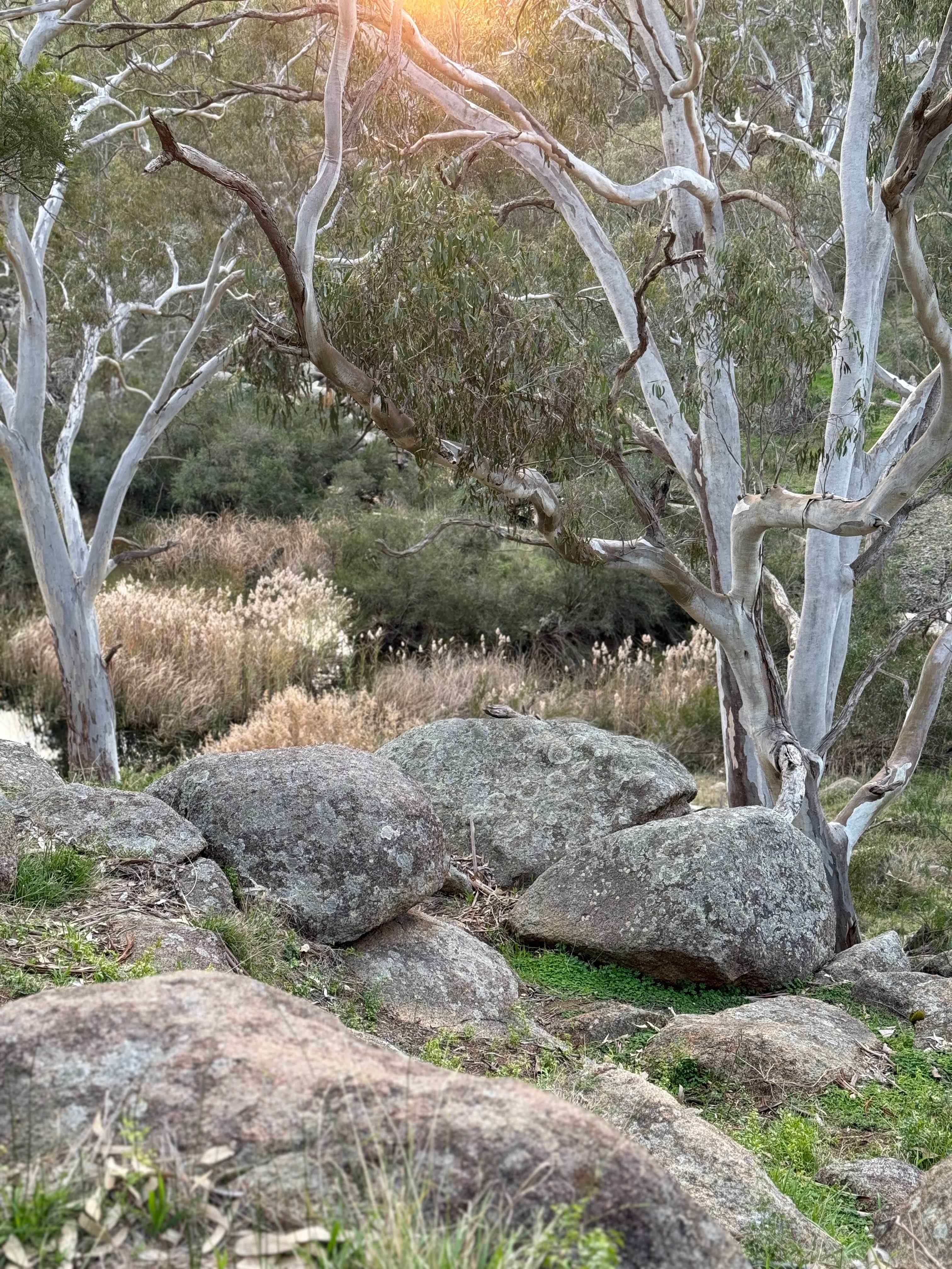 Boulder Brook Valley