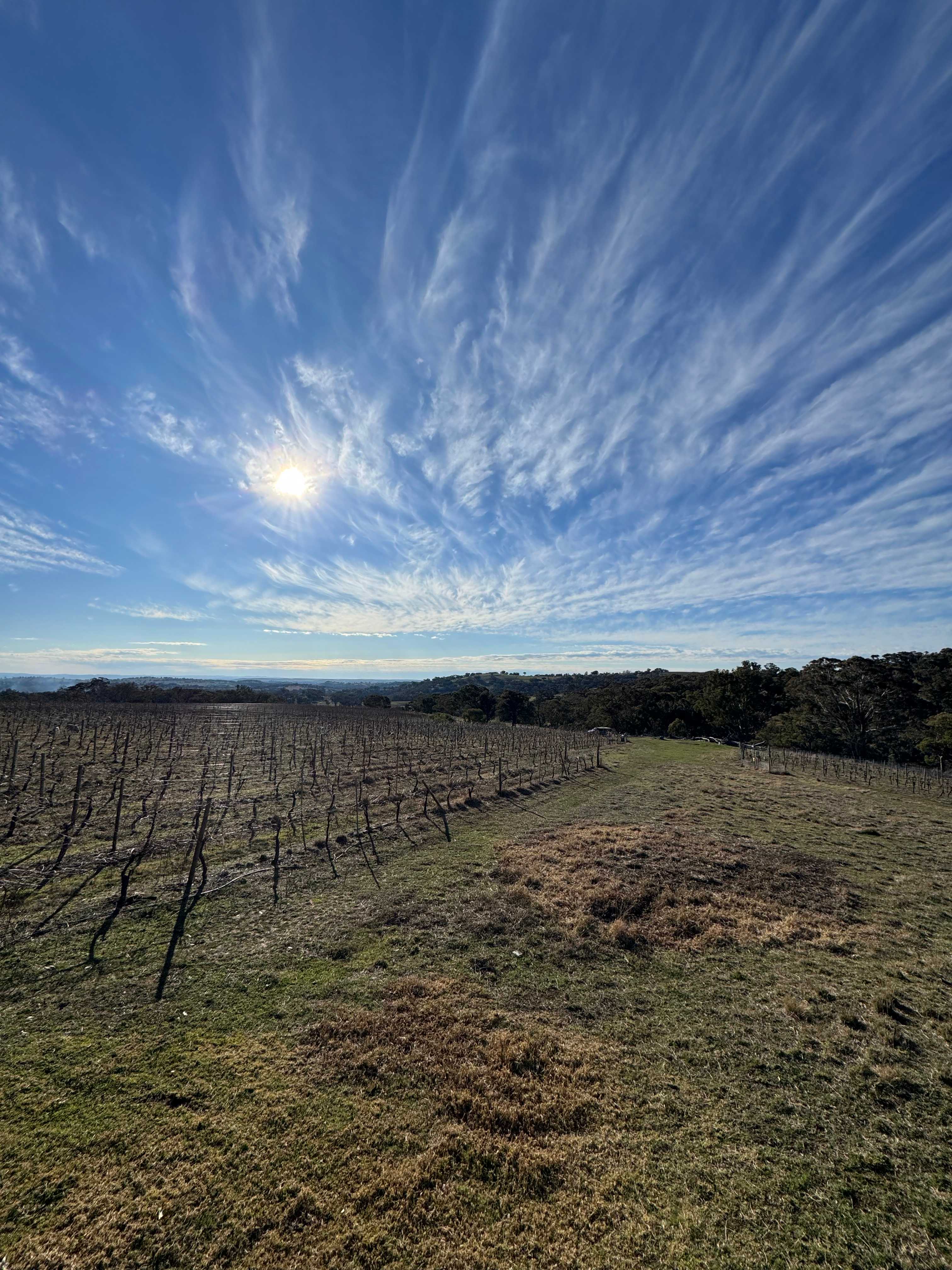 Cargo Road Wines