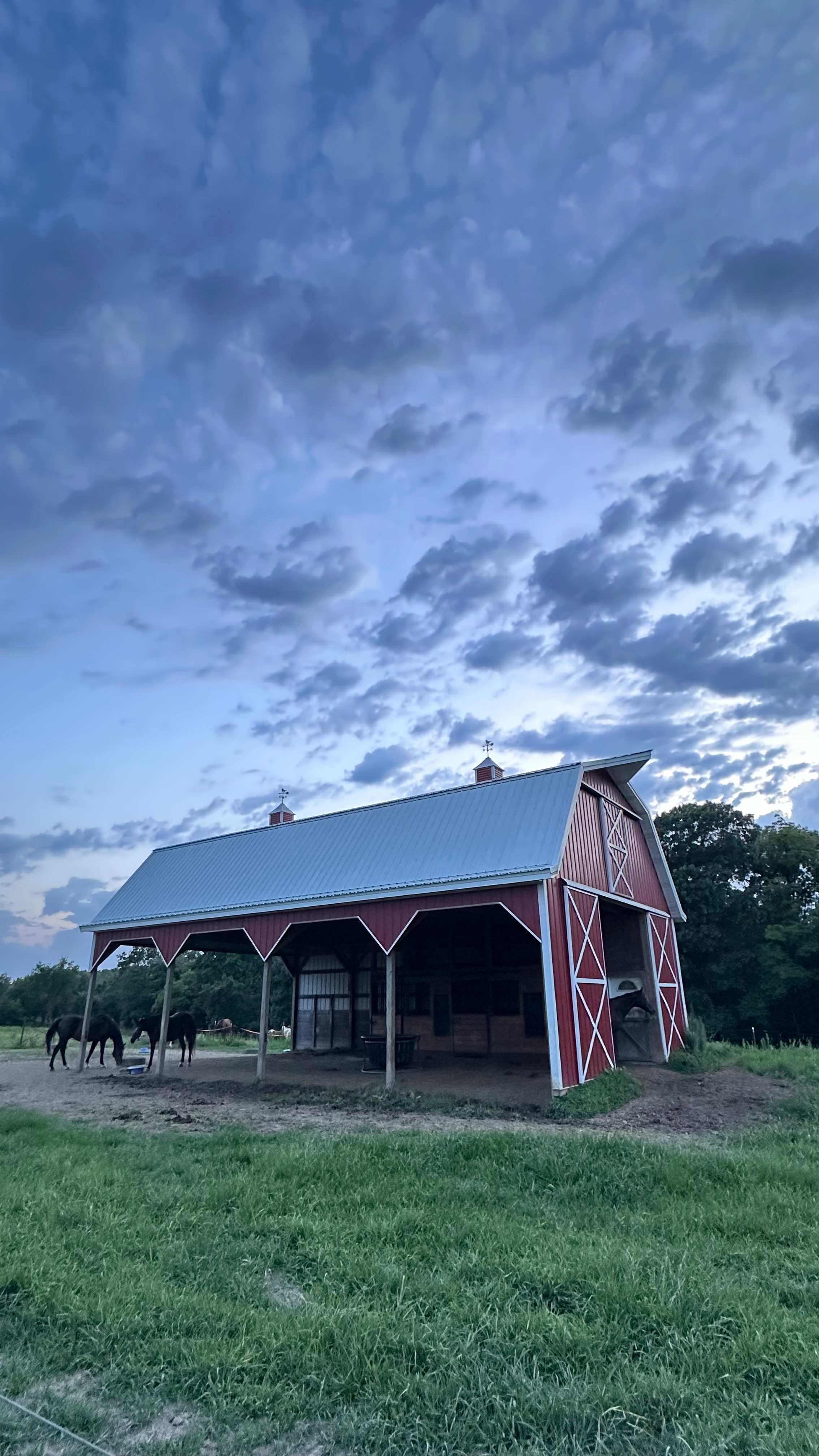 Selby Farm Horse Retirement