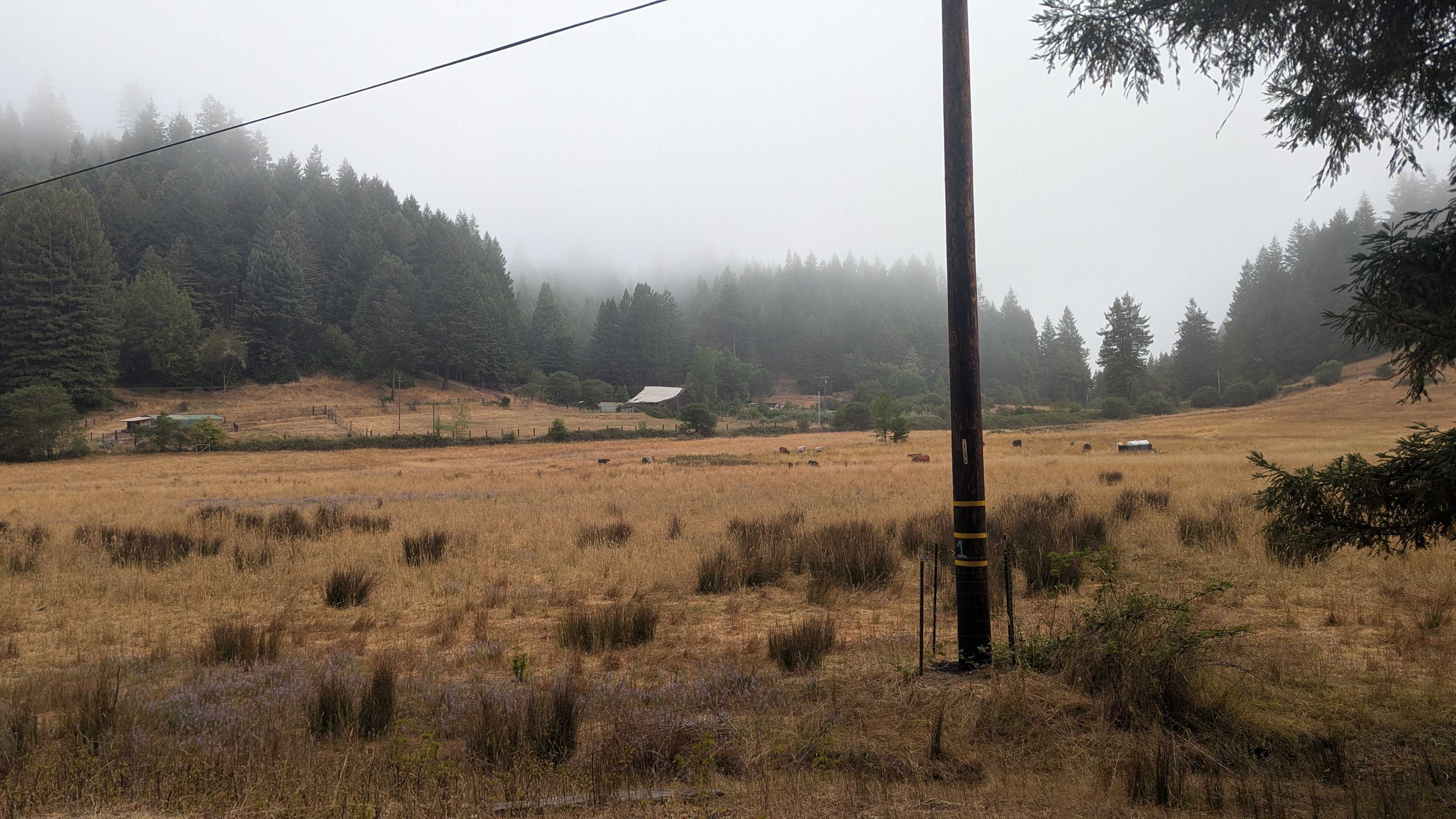Otter Valley Farm