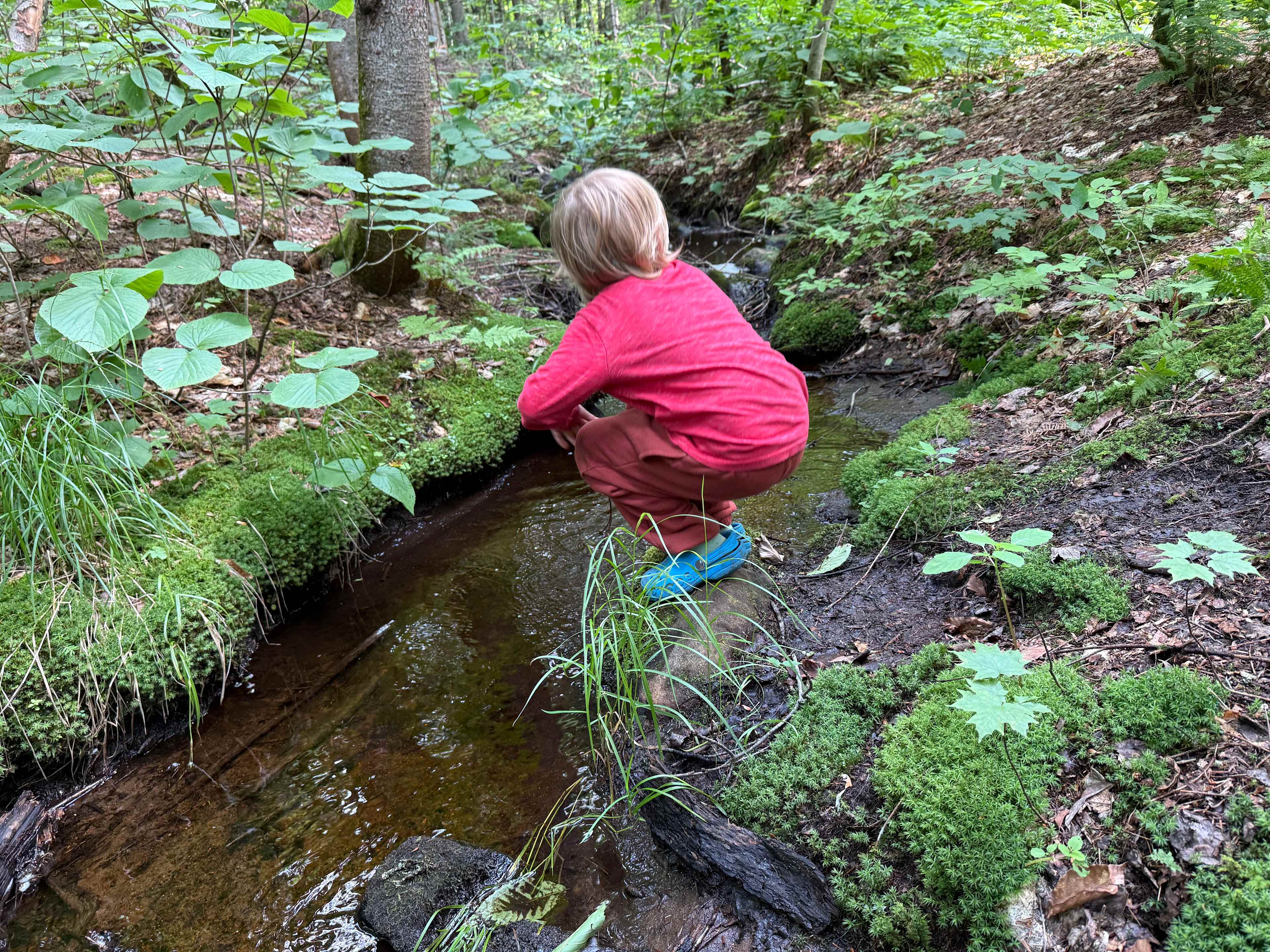Blueberry Lake Camping