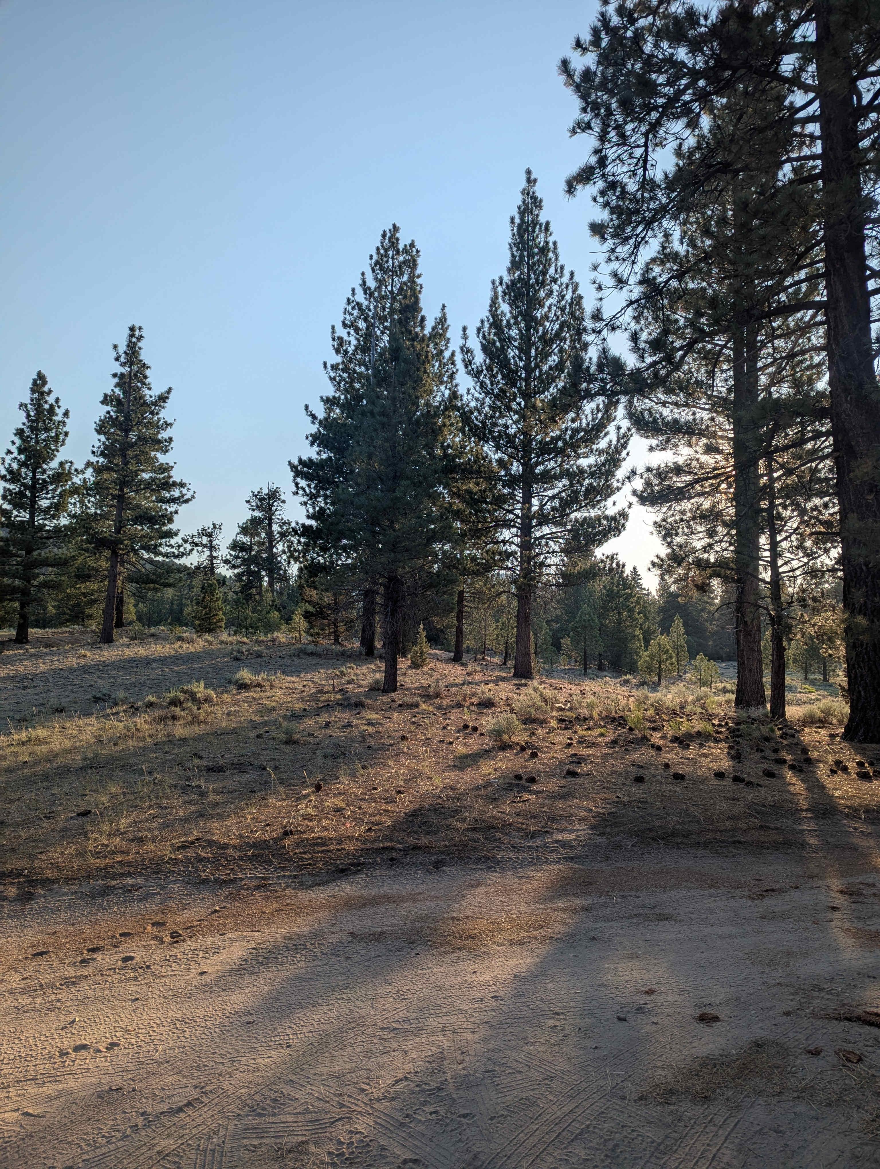 Holcomb Valley Ranch