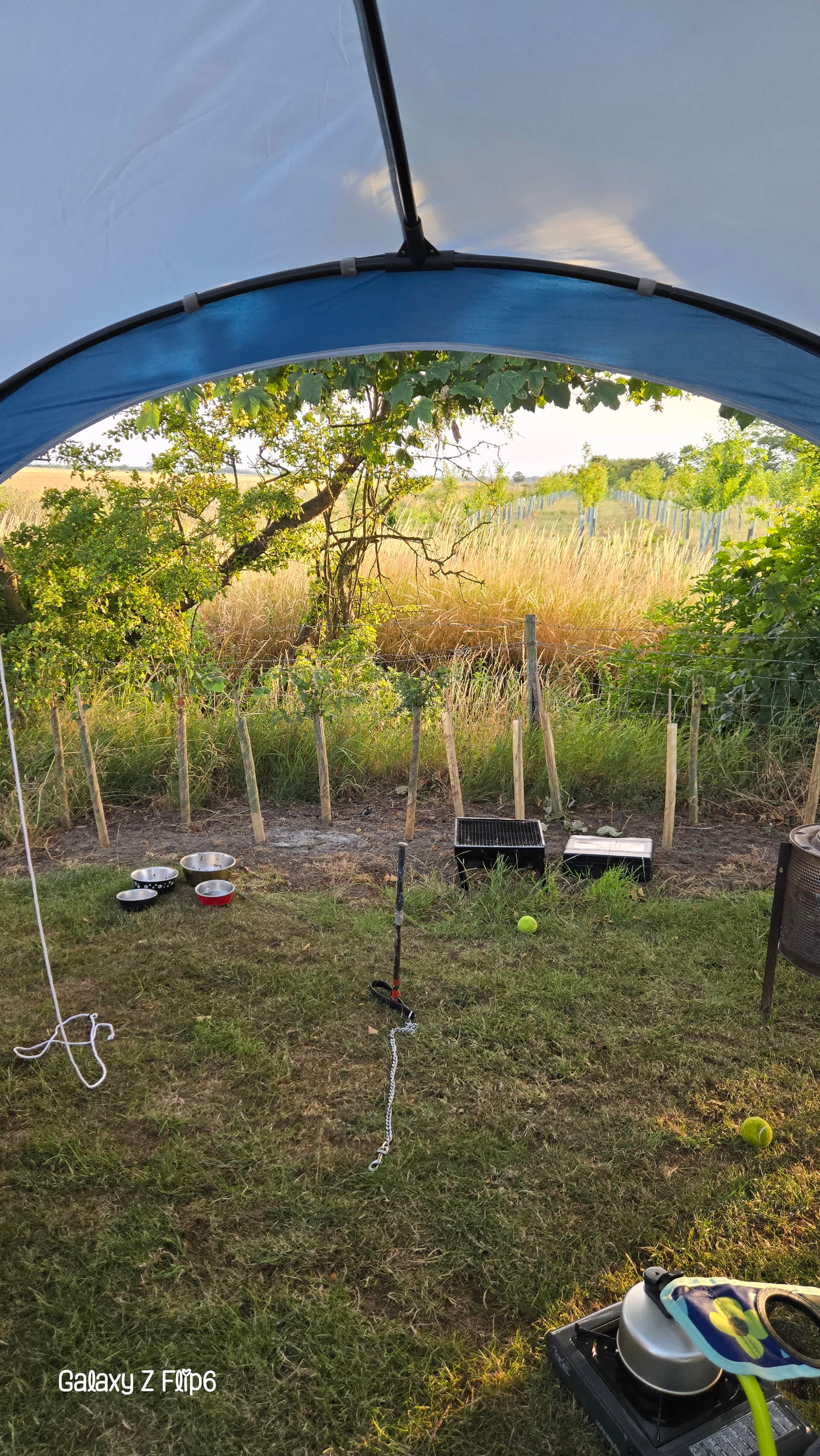Creekside Family Camping