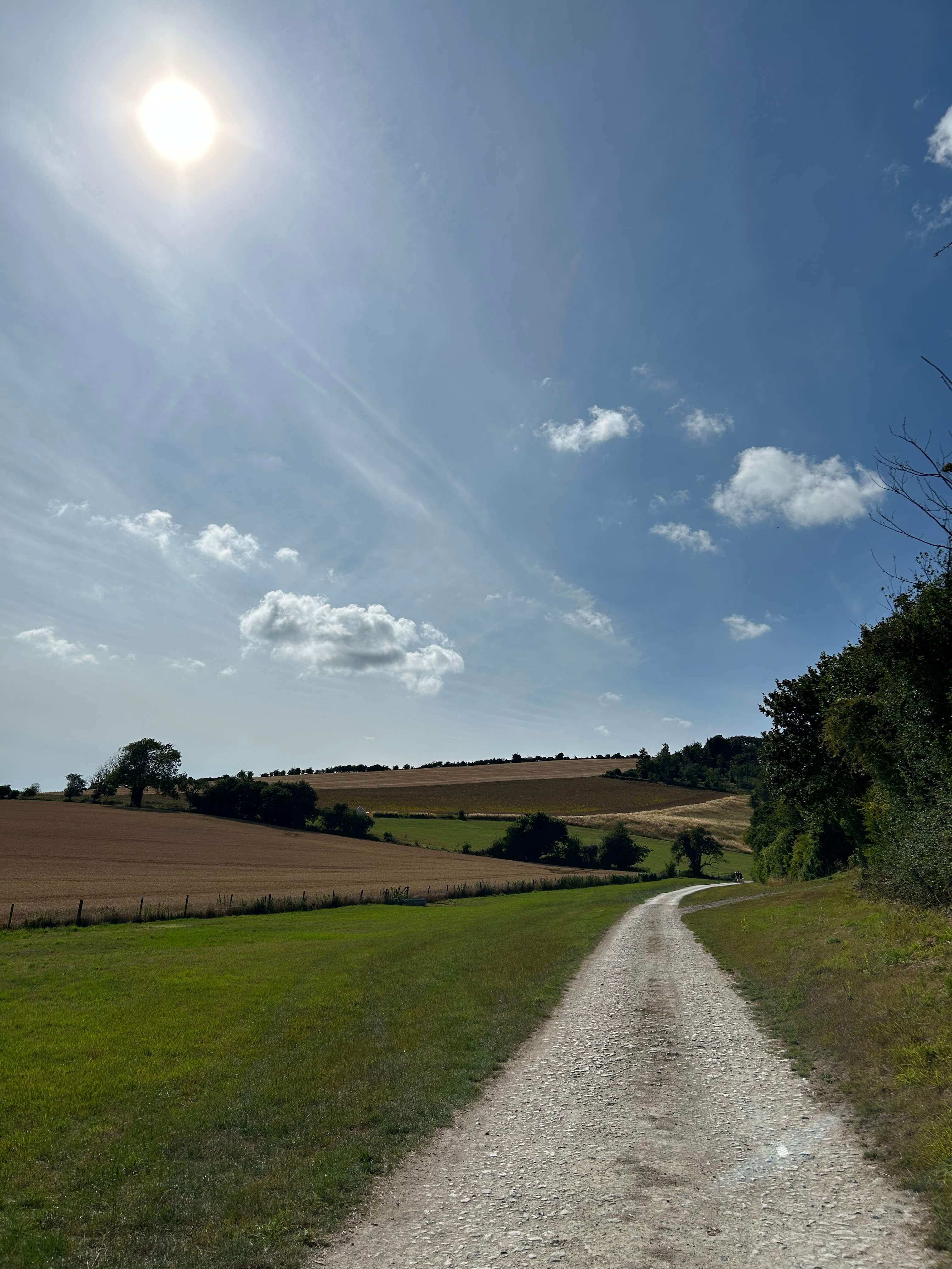 Littleton Farm Campsite