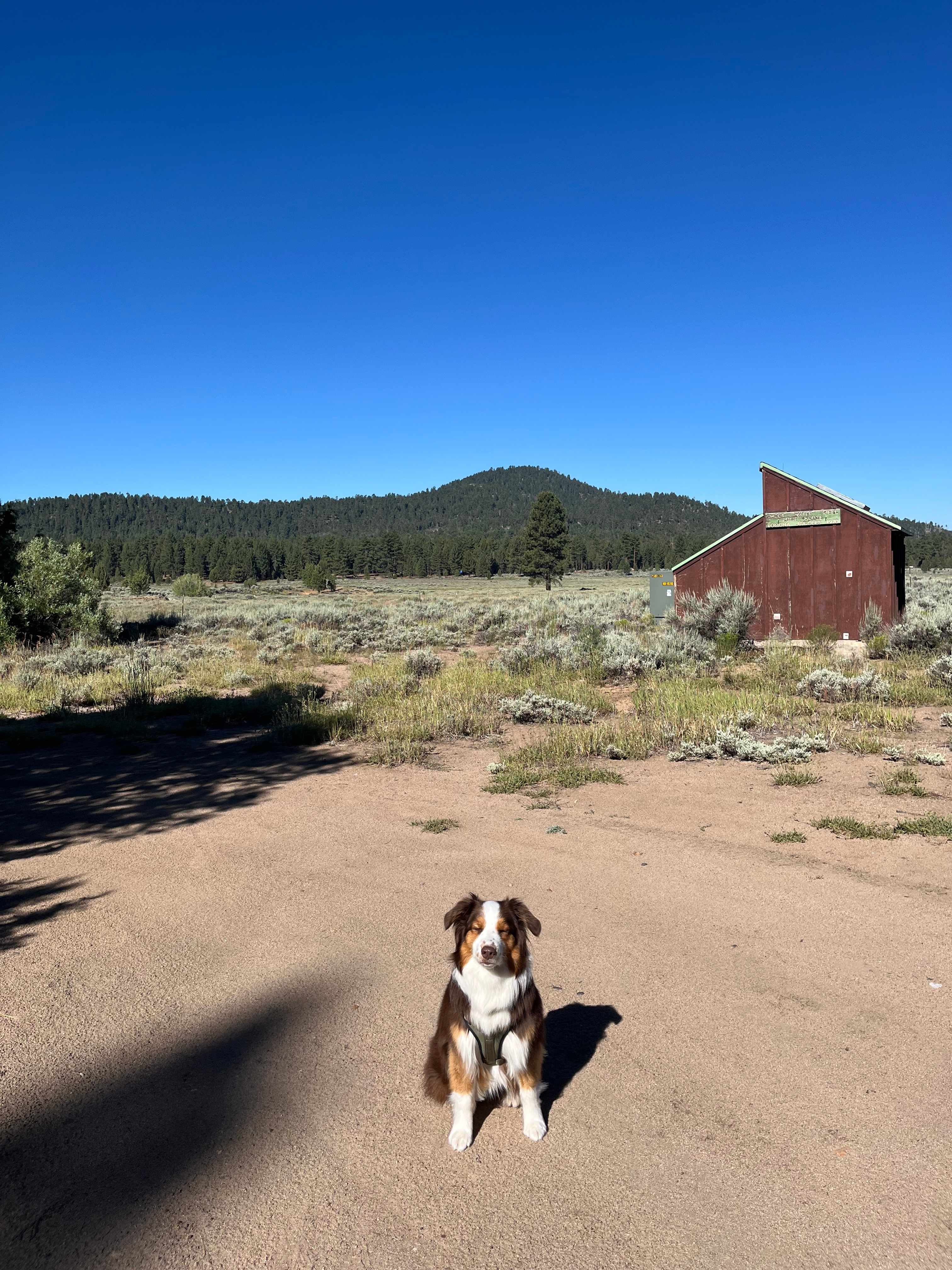 Holcomb Valley Ranch