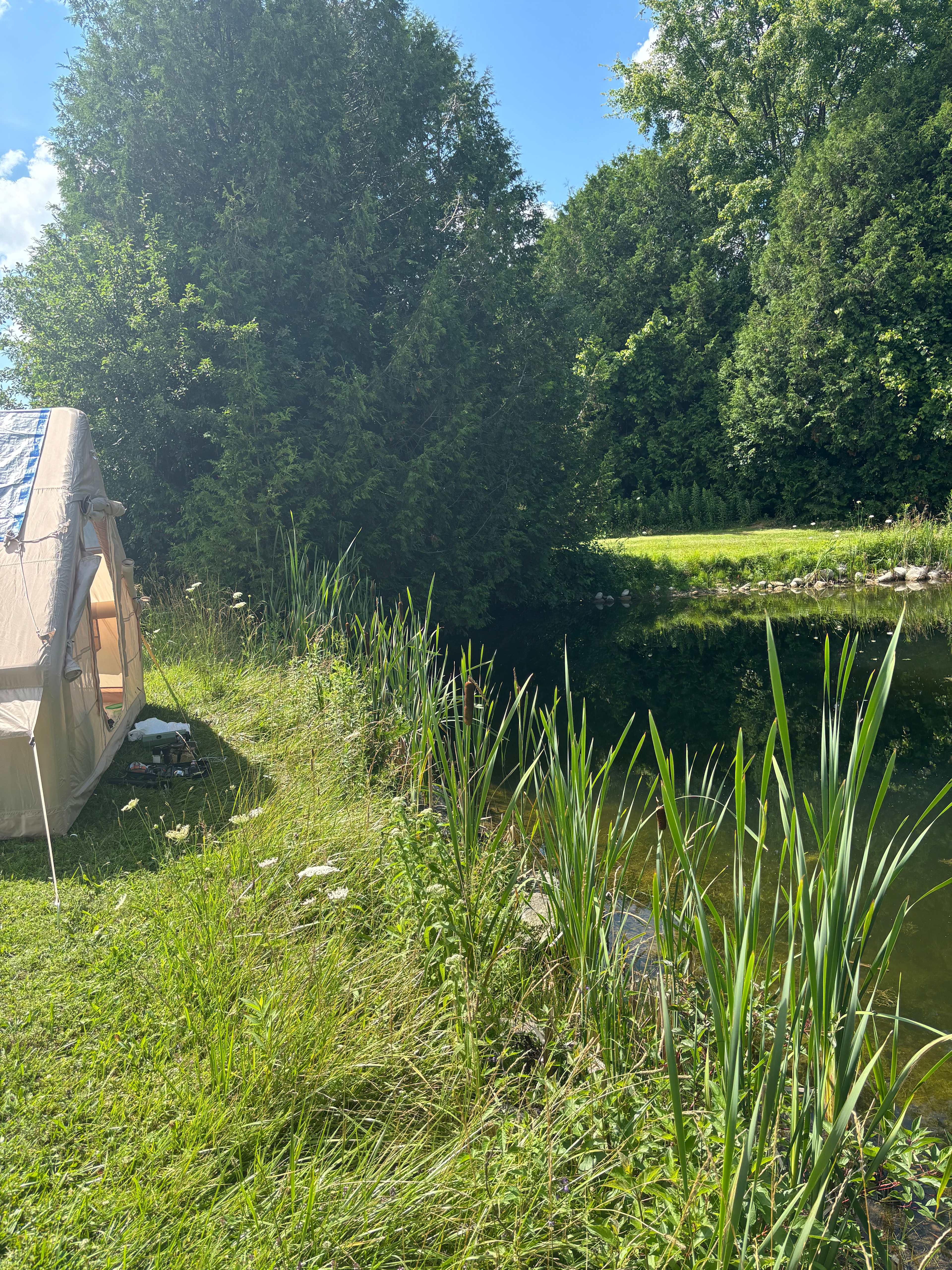 Hidden Oasis Near Elora