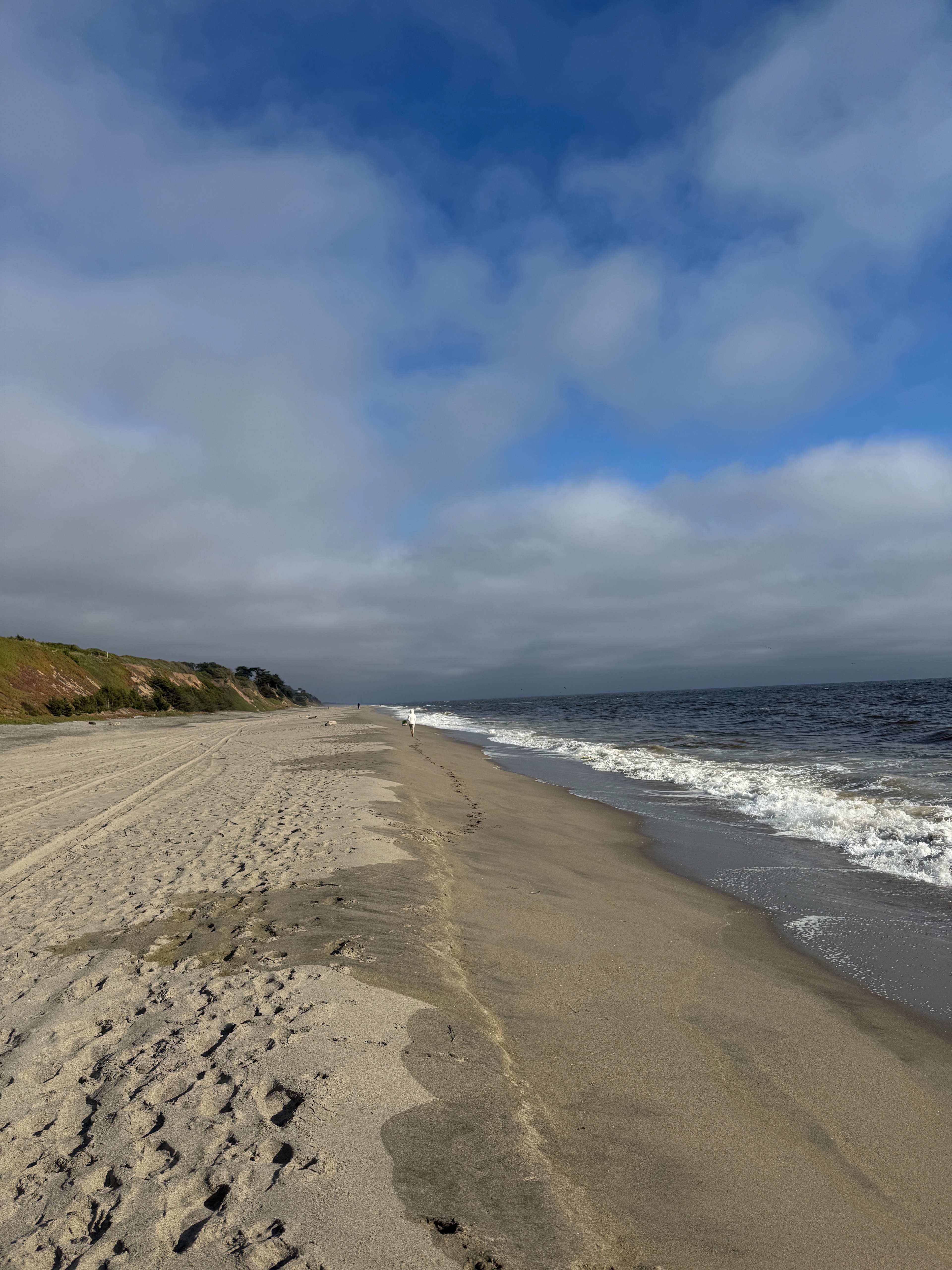 Manresa beach just a mile walk from the site 