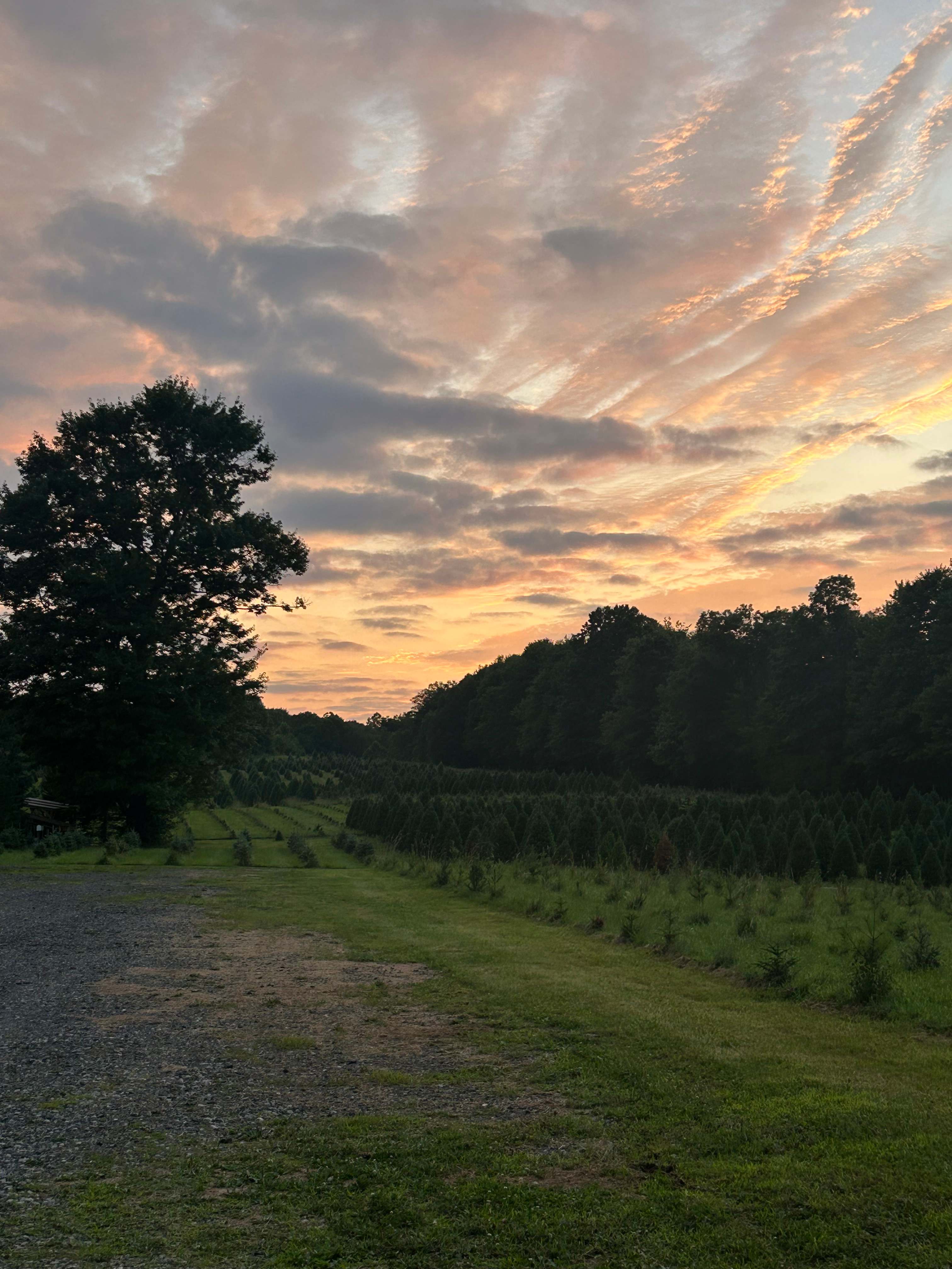Camping at Heritage Farms