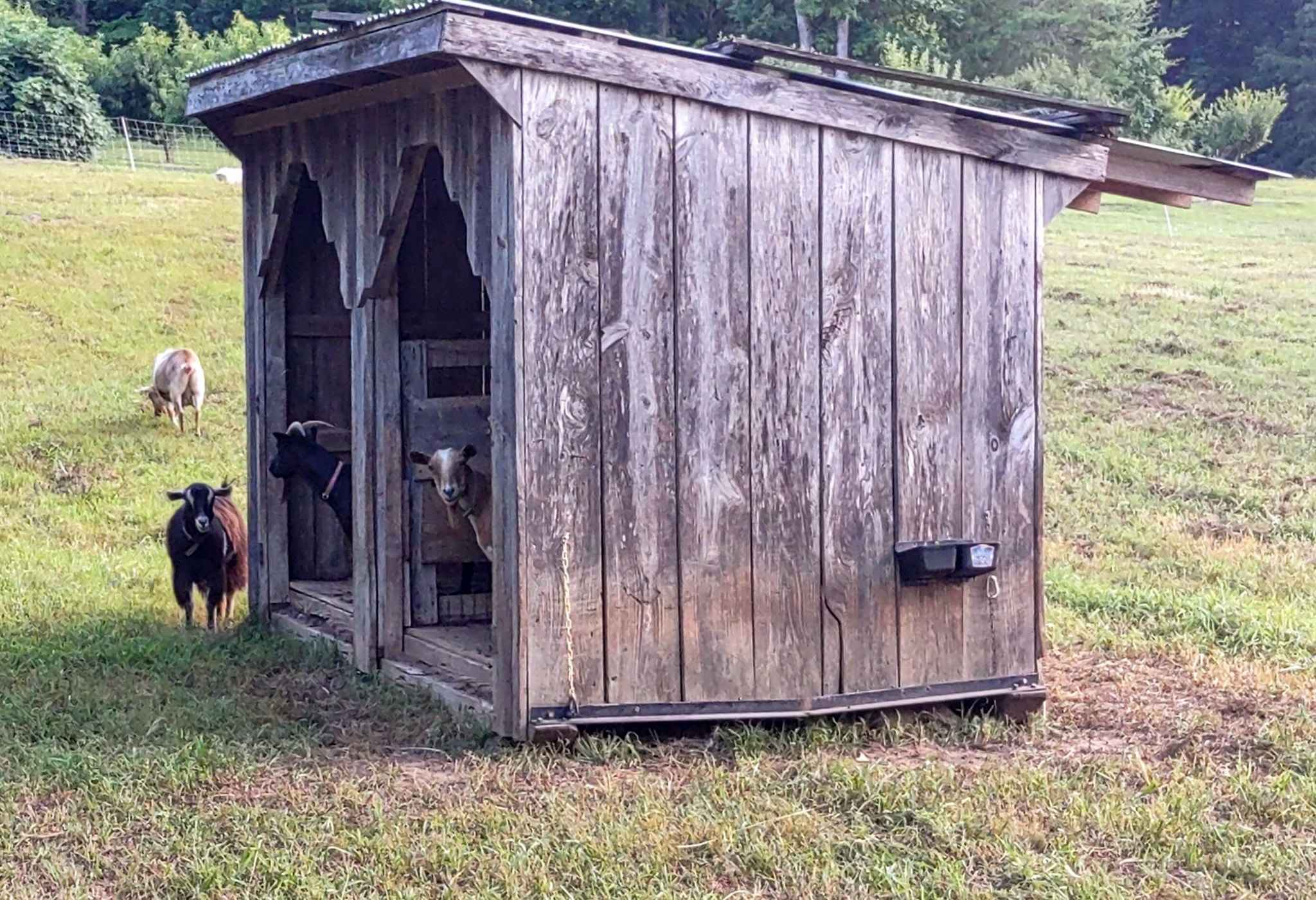 NW GA Farm Stay