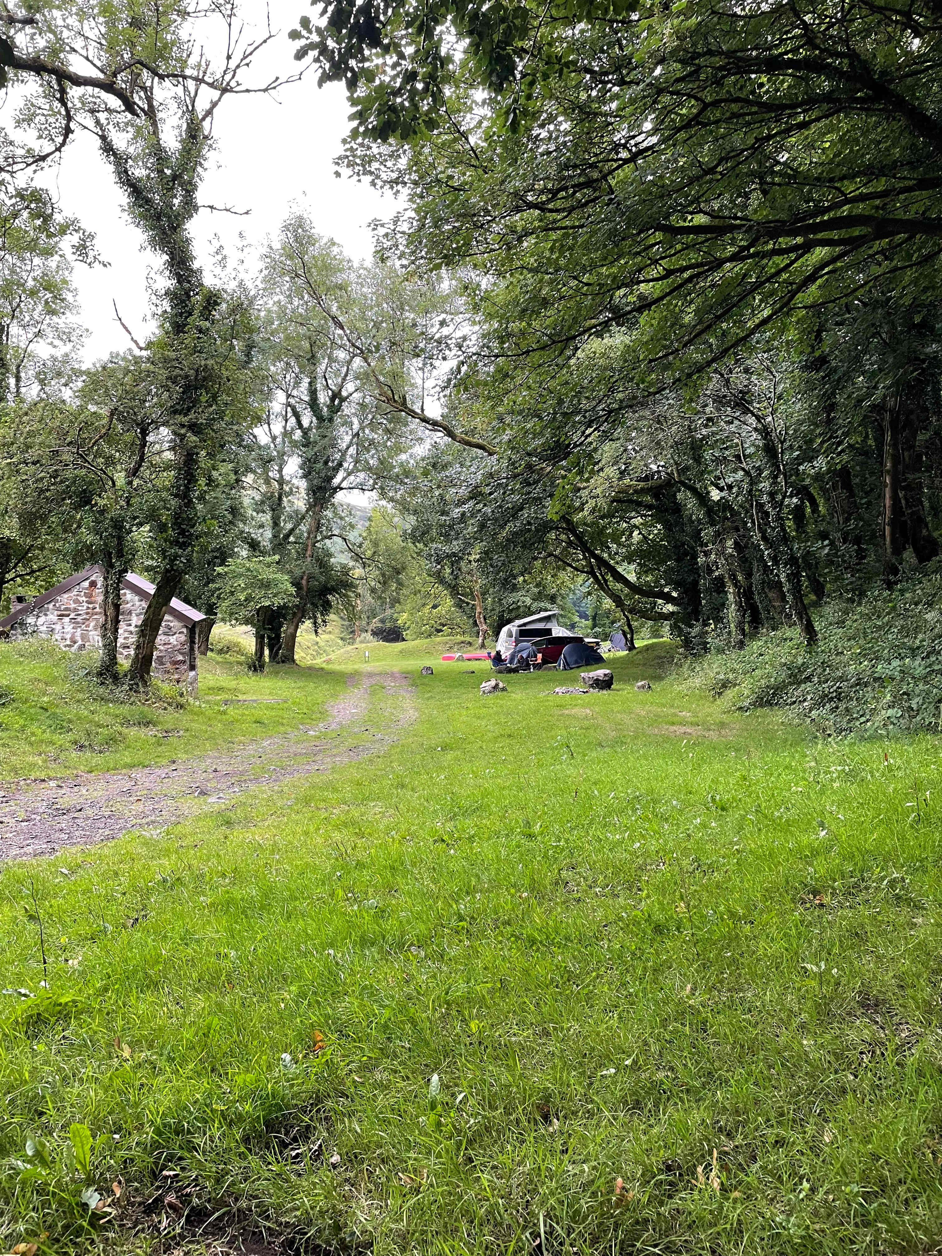 Meldon Lake and Woods Wild Camping