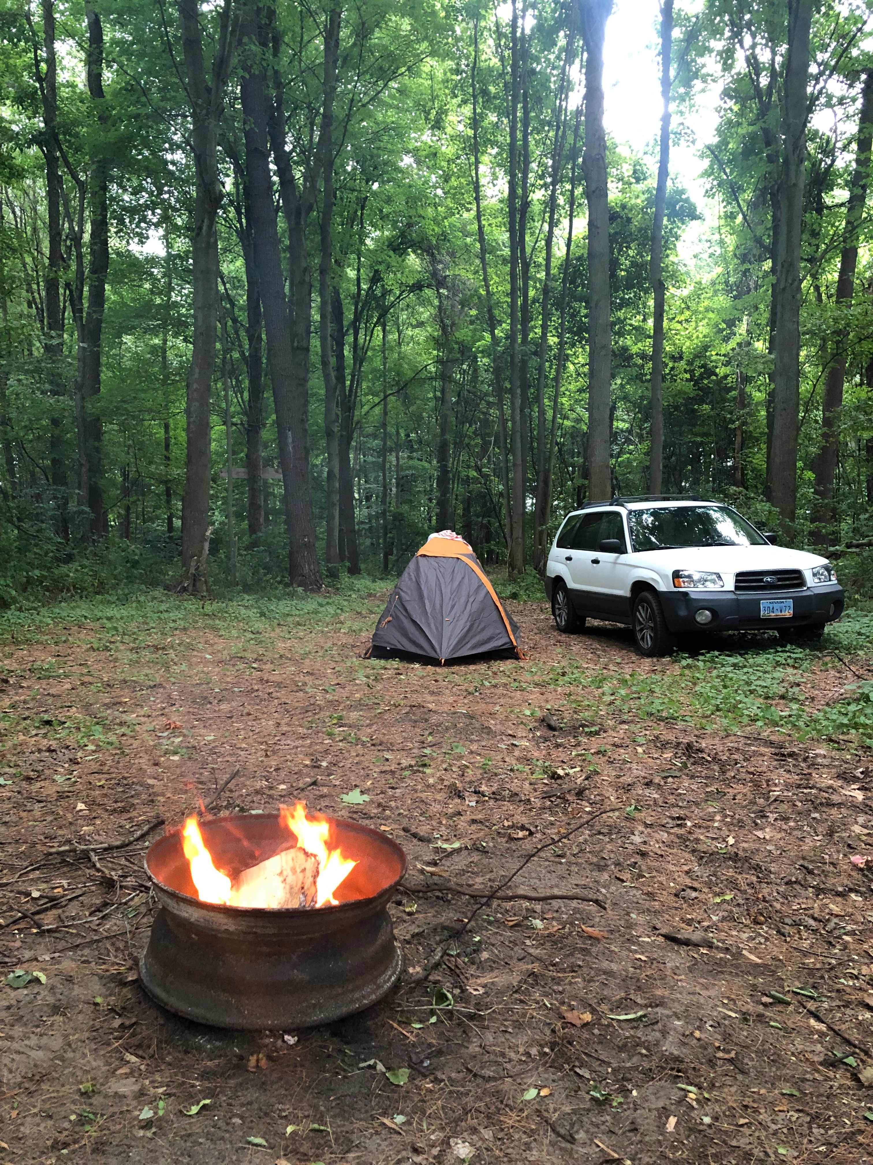 Spring Arbour Magic Forest &Trails!