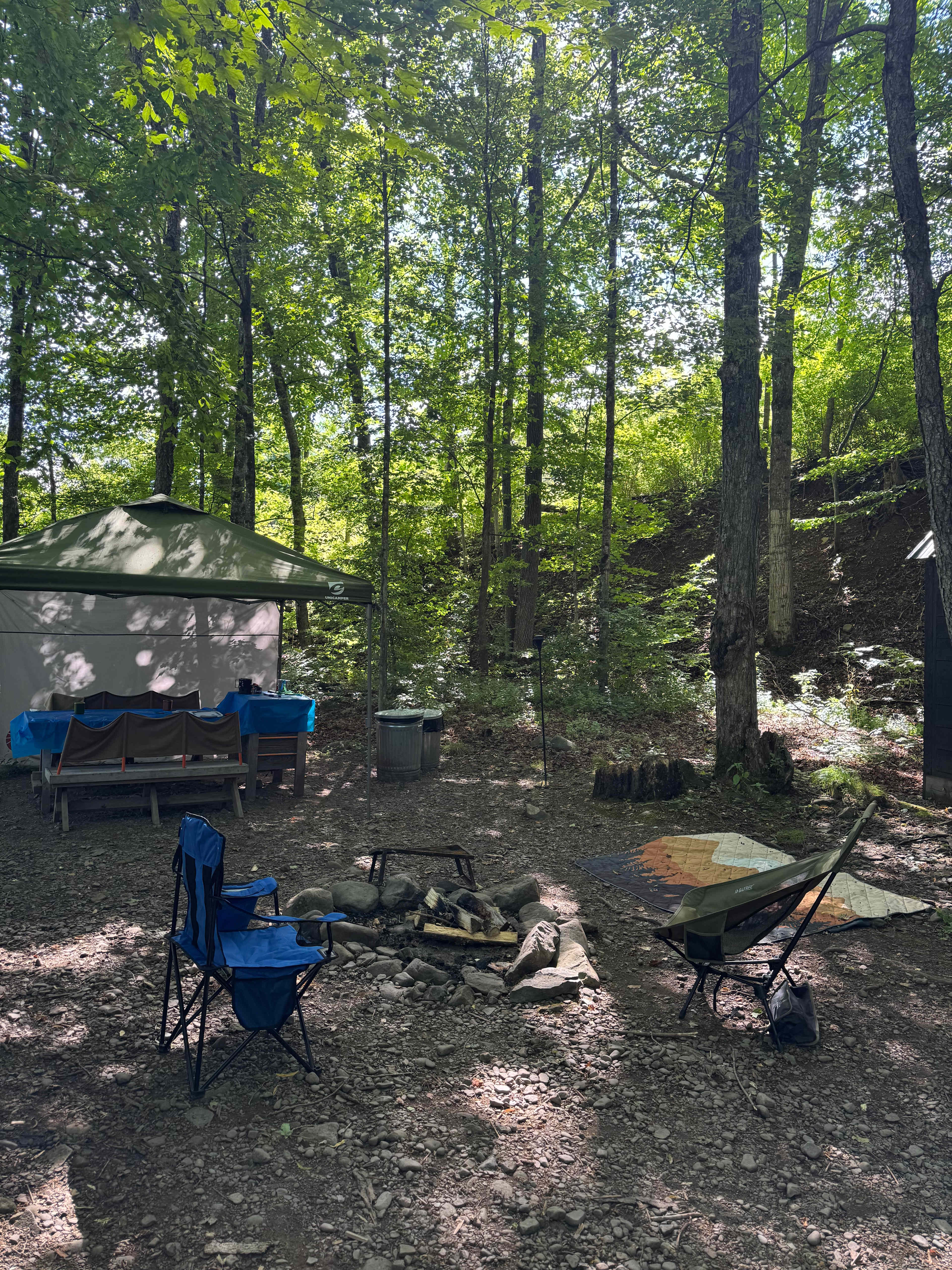 Bearkill Brook Campsite