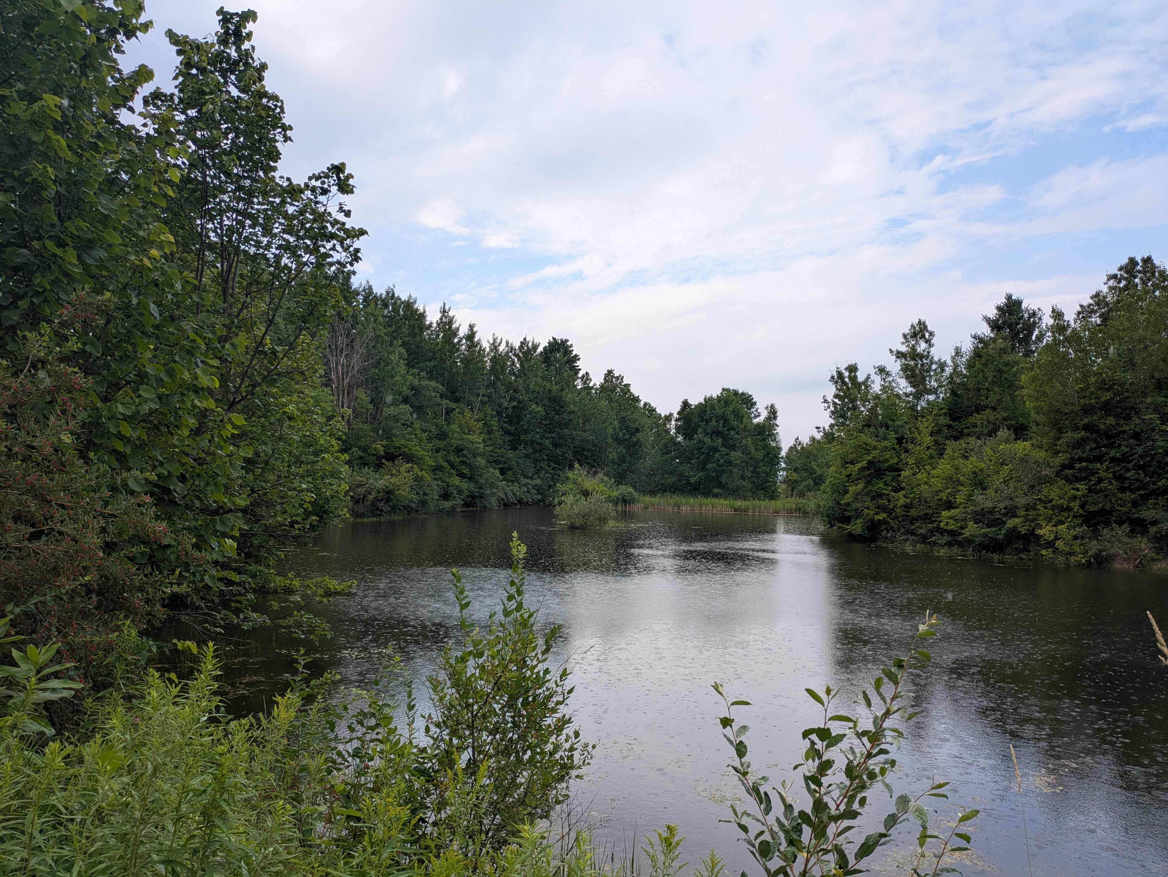 Rains Ranch