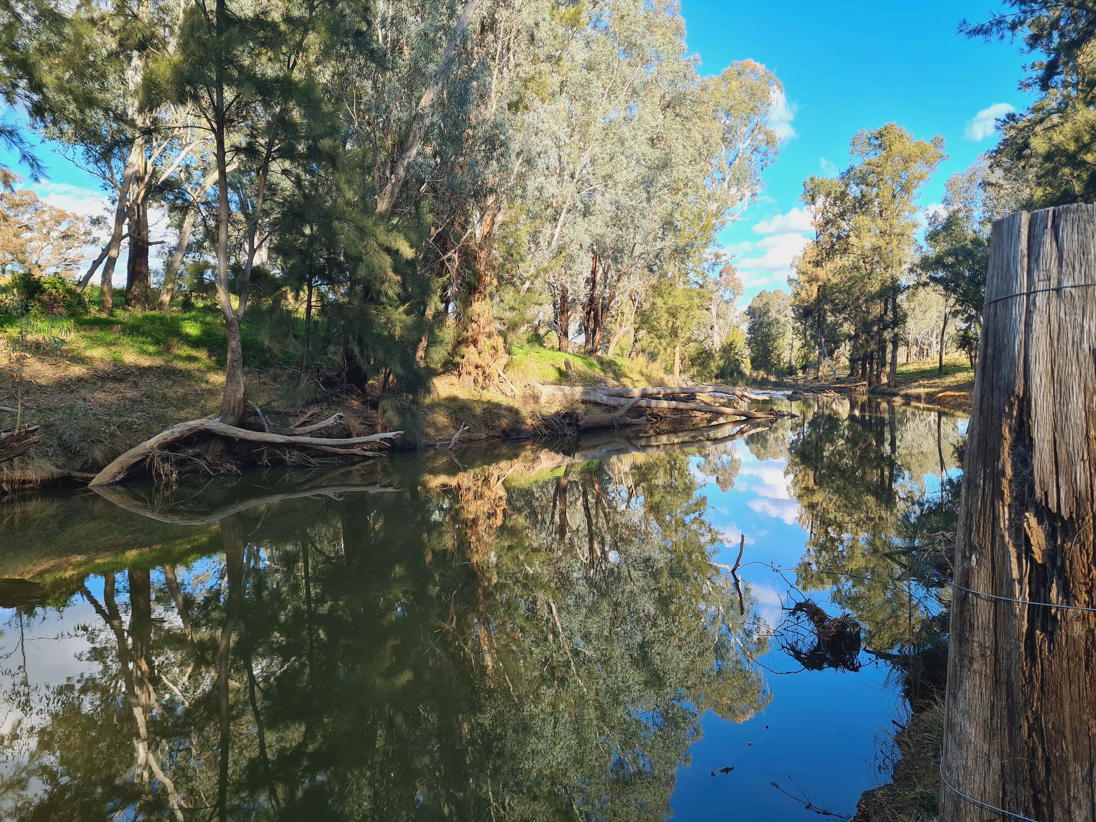 Cadagi Farm Stay in Central West NSW