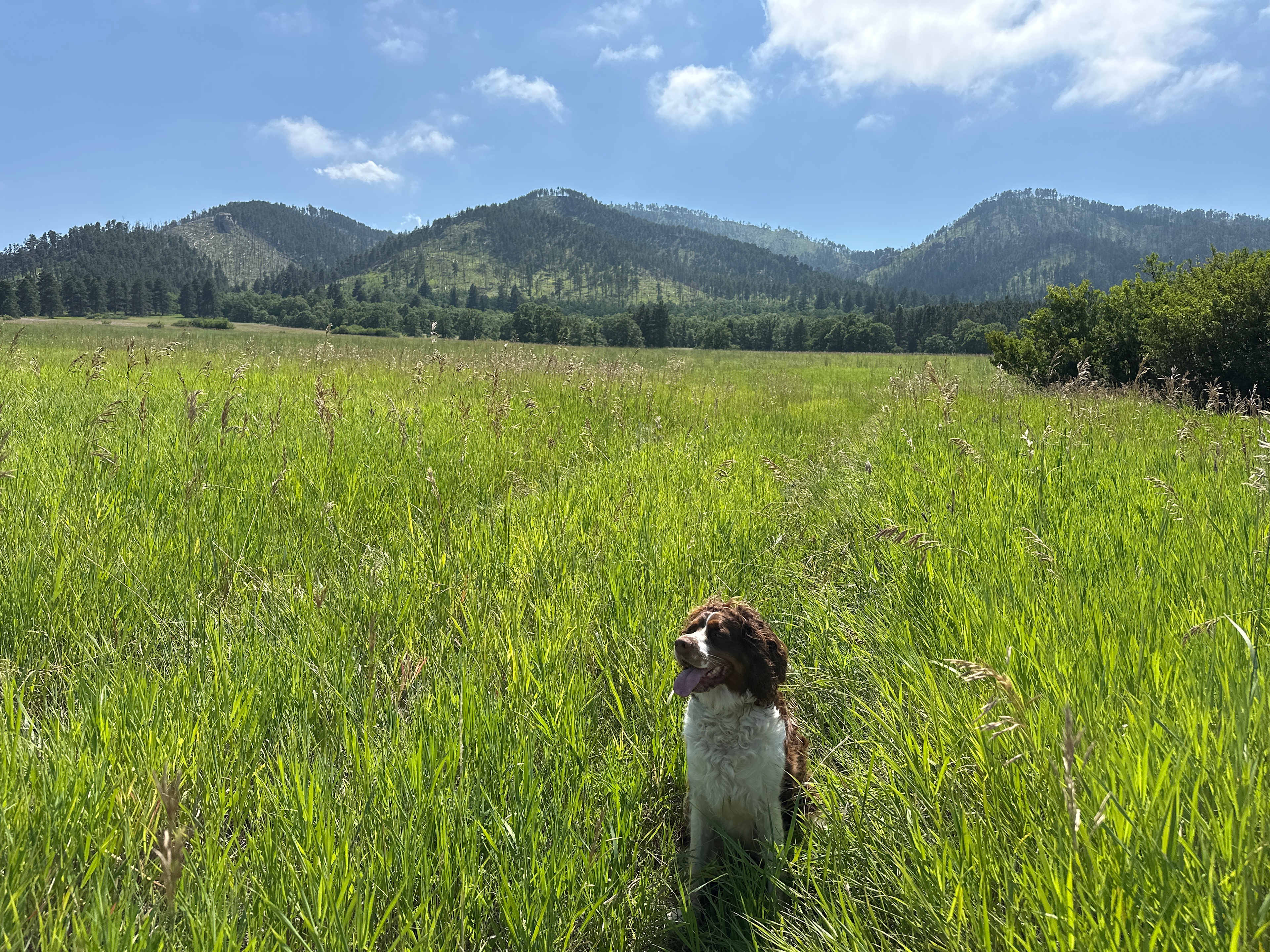 Crow Peak’s Last Best Place