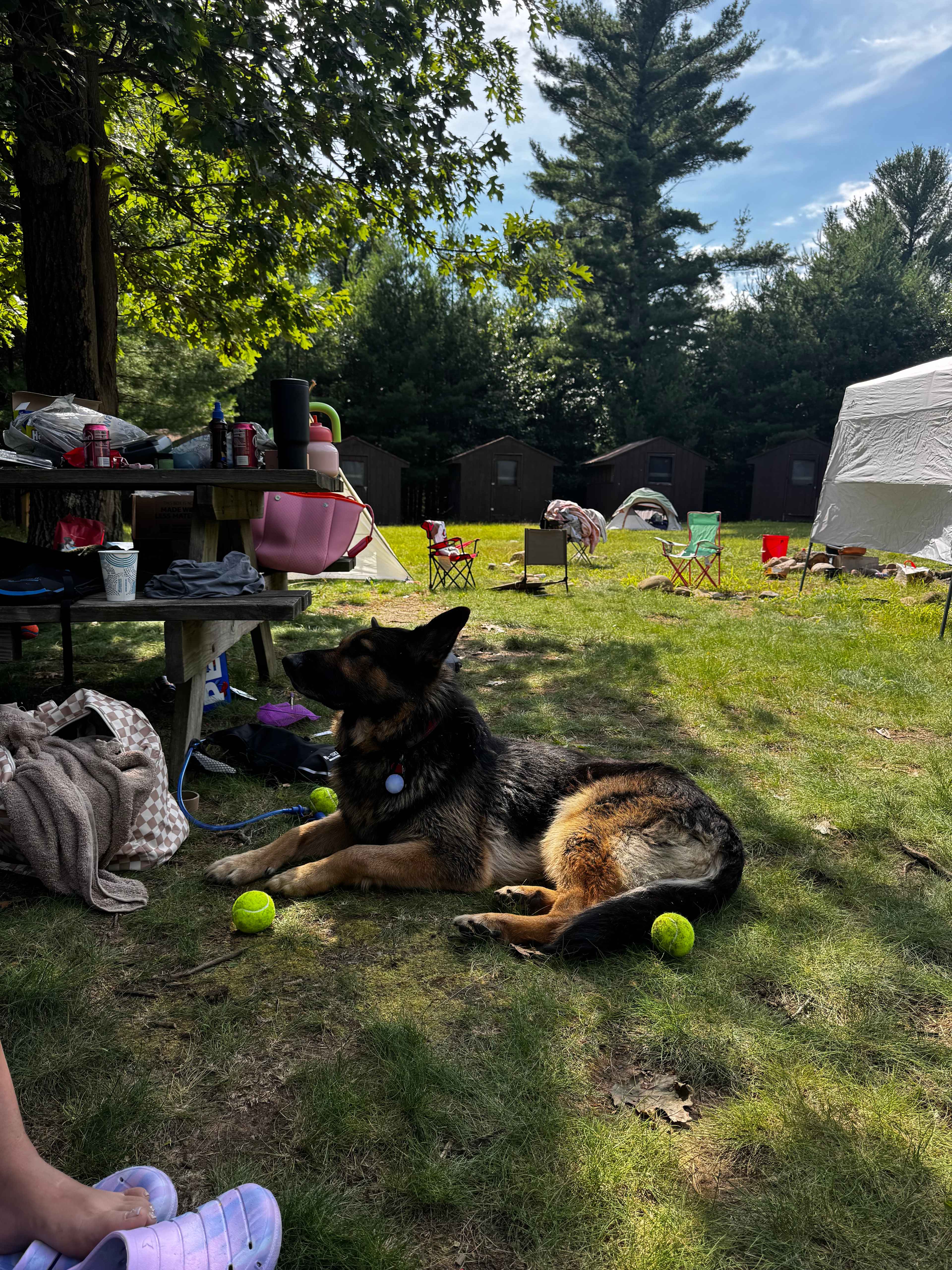 The summer camp experience