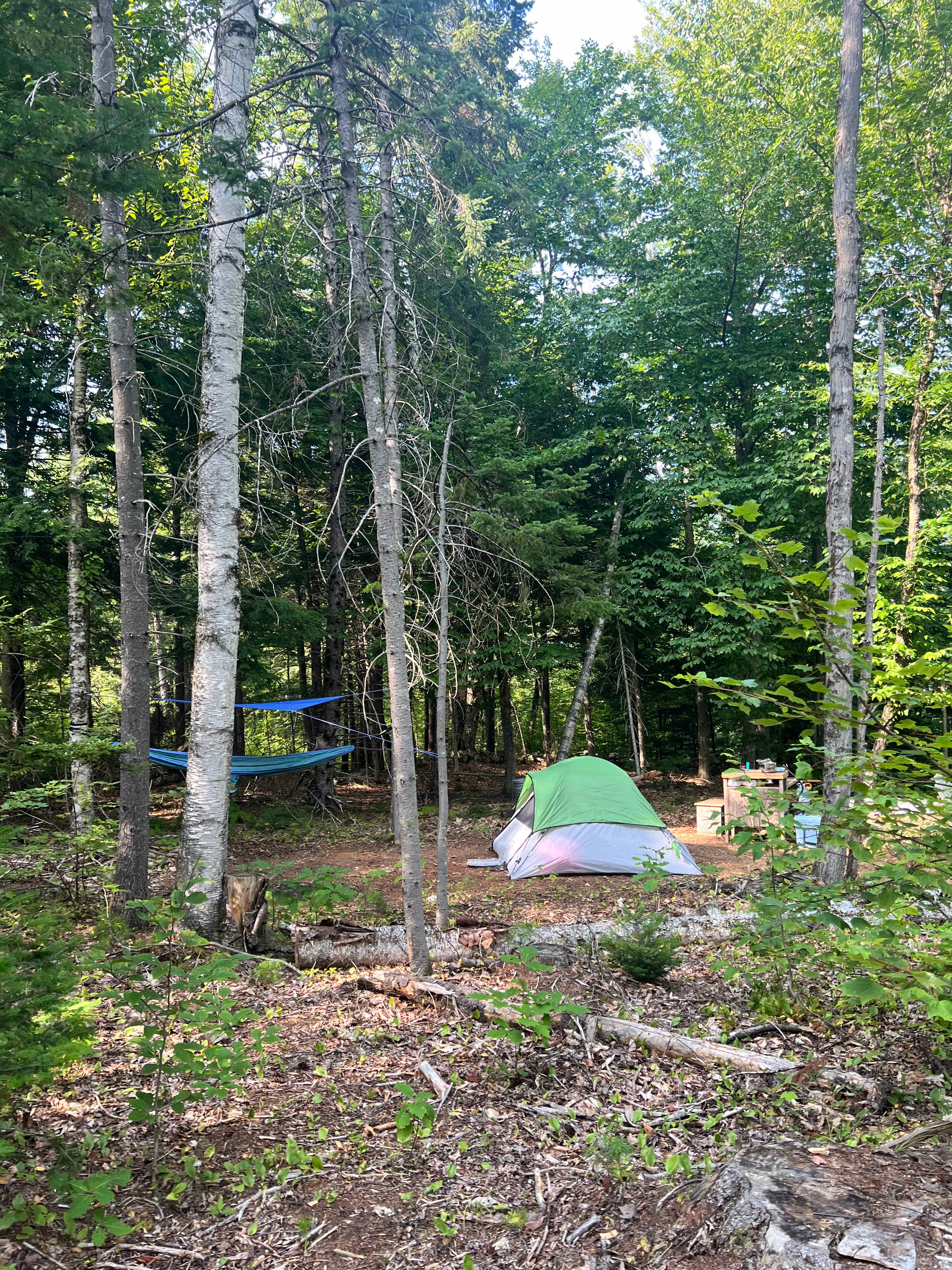 Butter Hill Hideaway-Forest Retreat