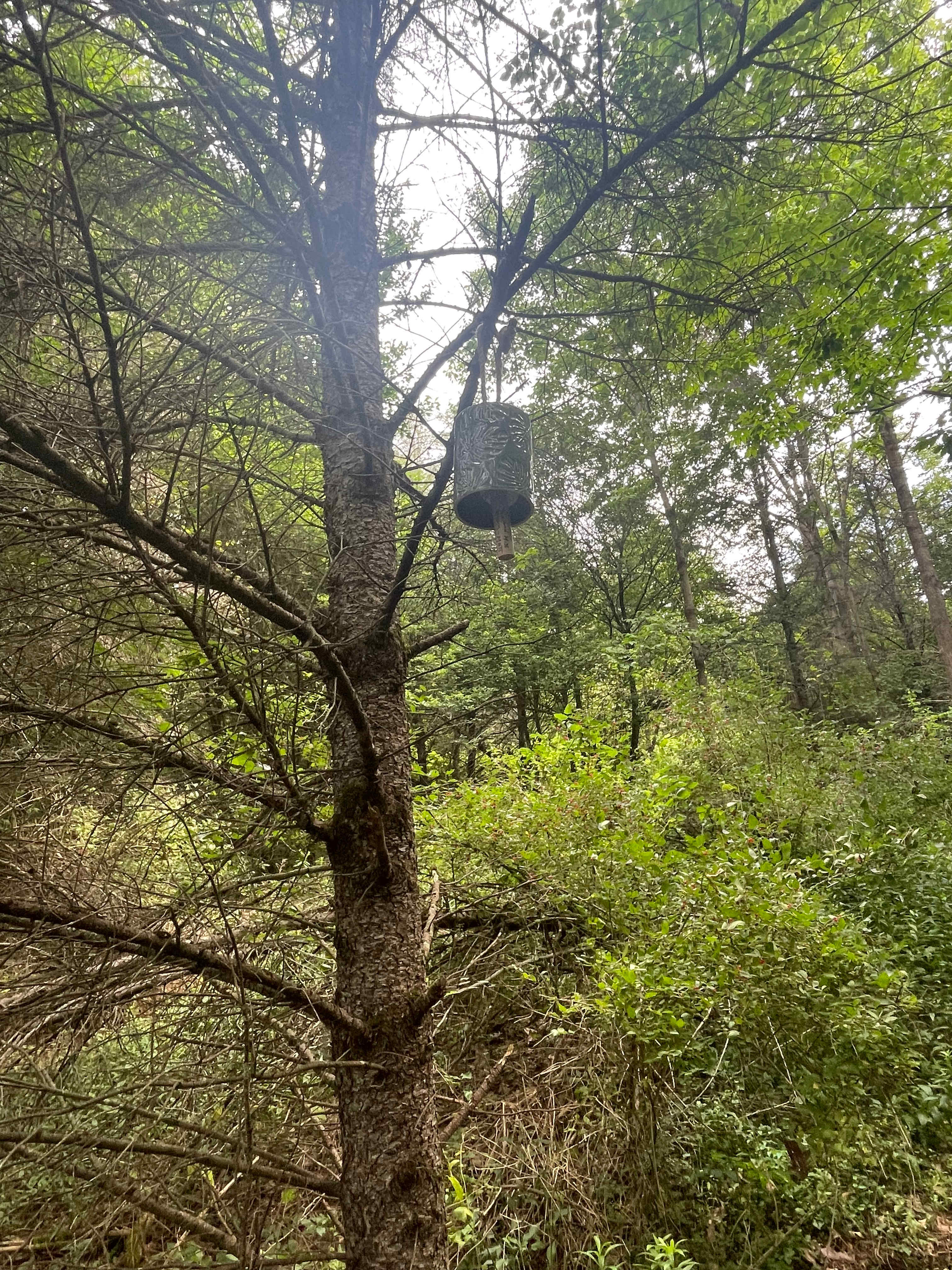 The windchime we hung in the trail for our loved ones who passed 