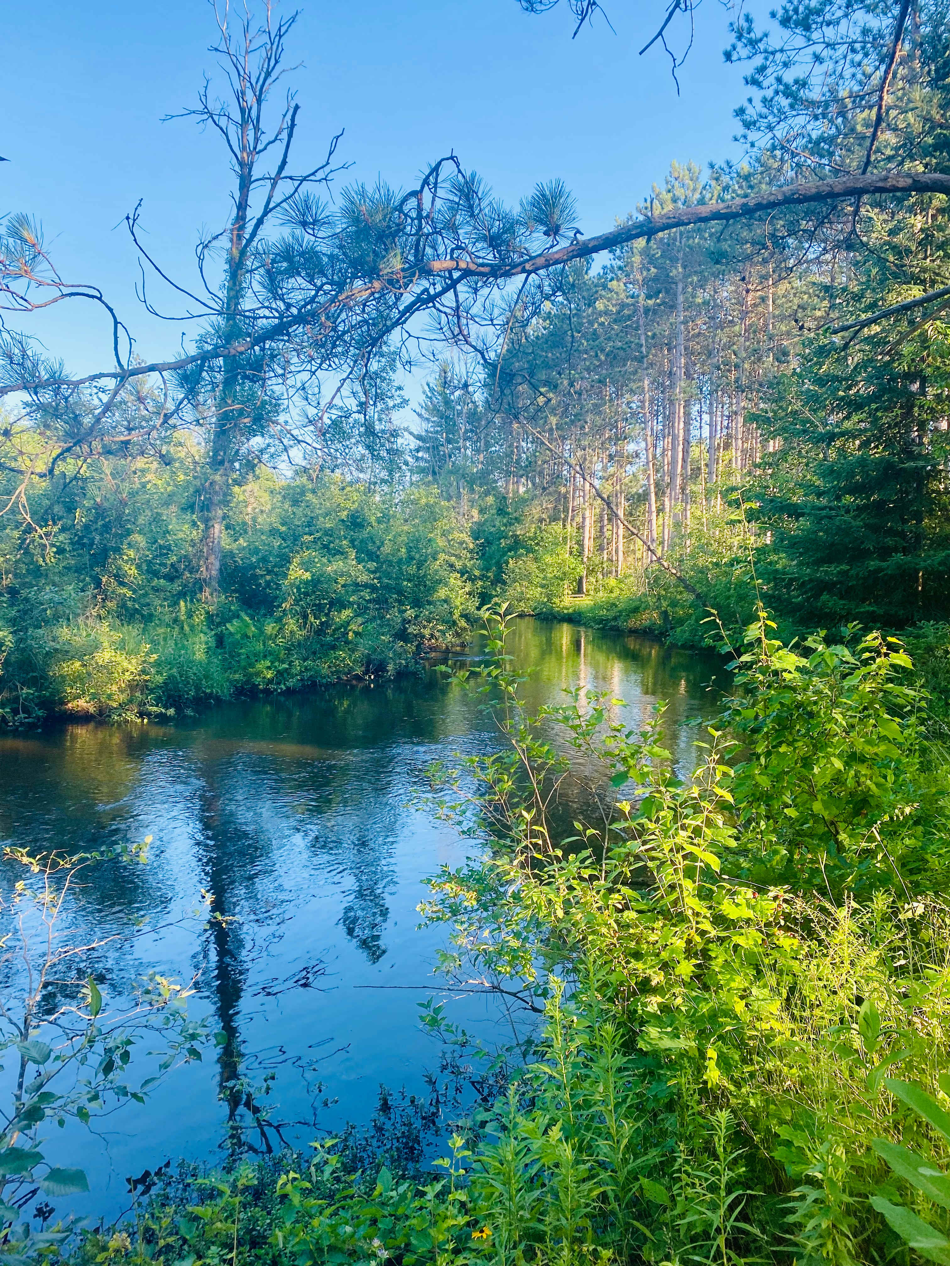 River near by