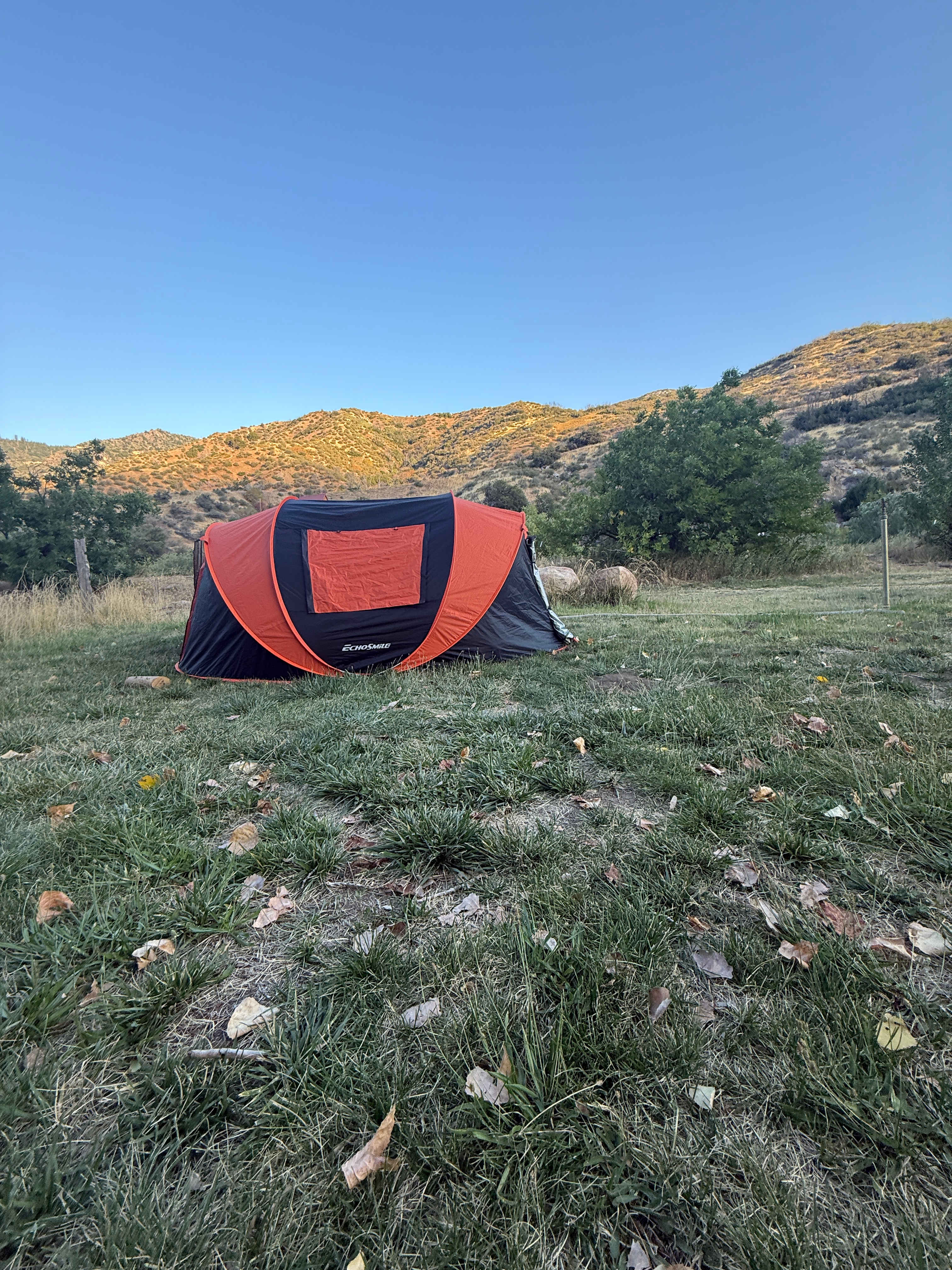 Kings Canyon Campground