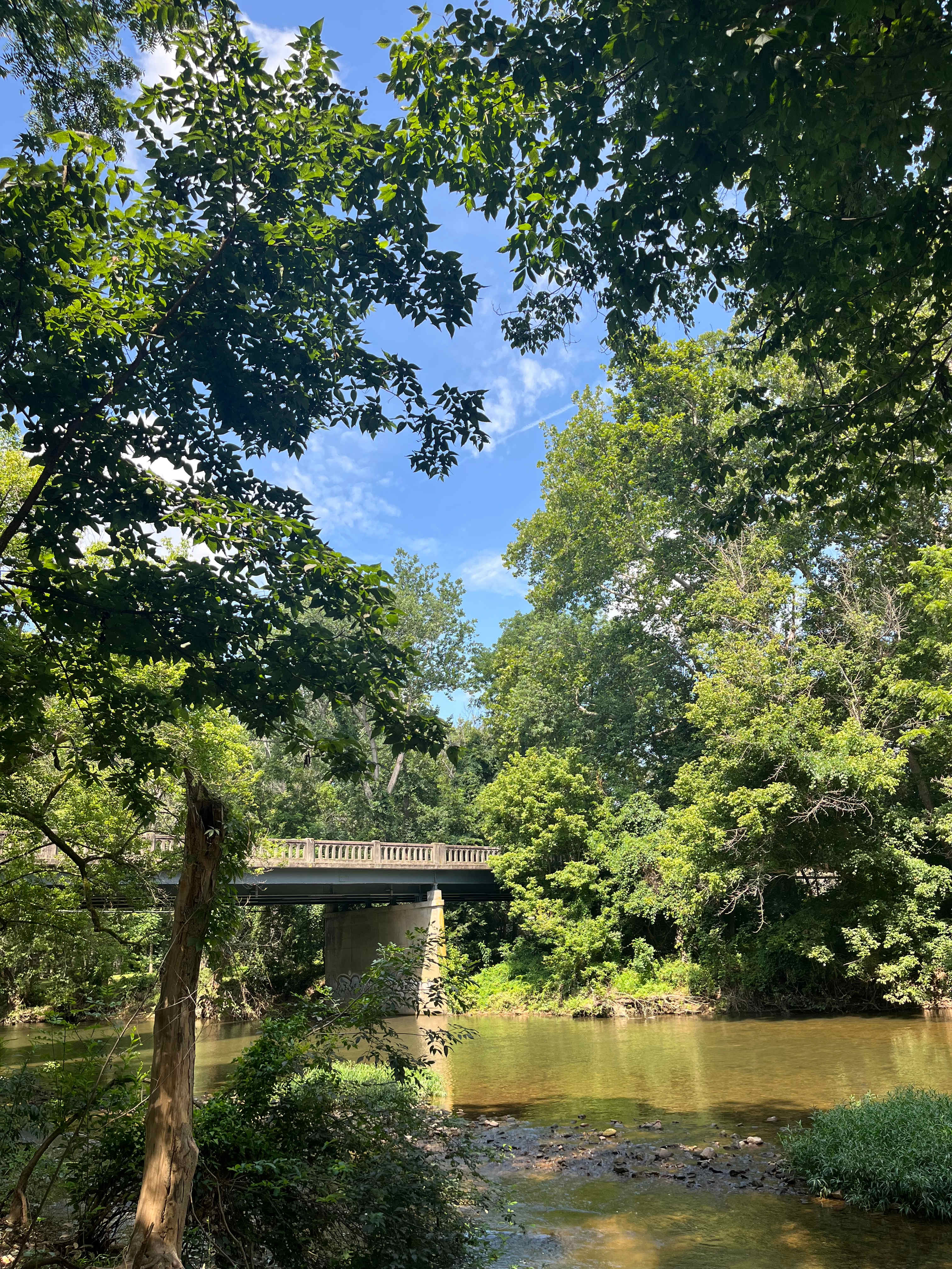 South River Camp