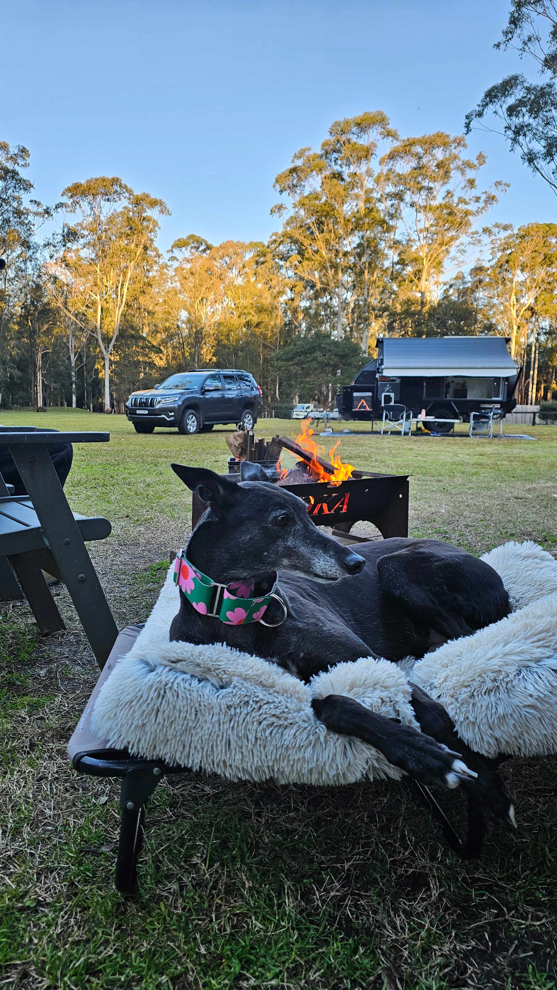 Our Kindred Acres