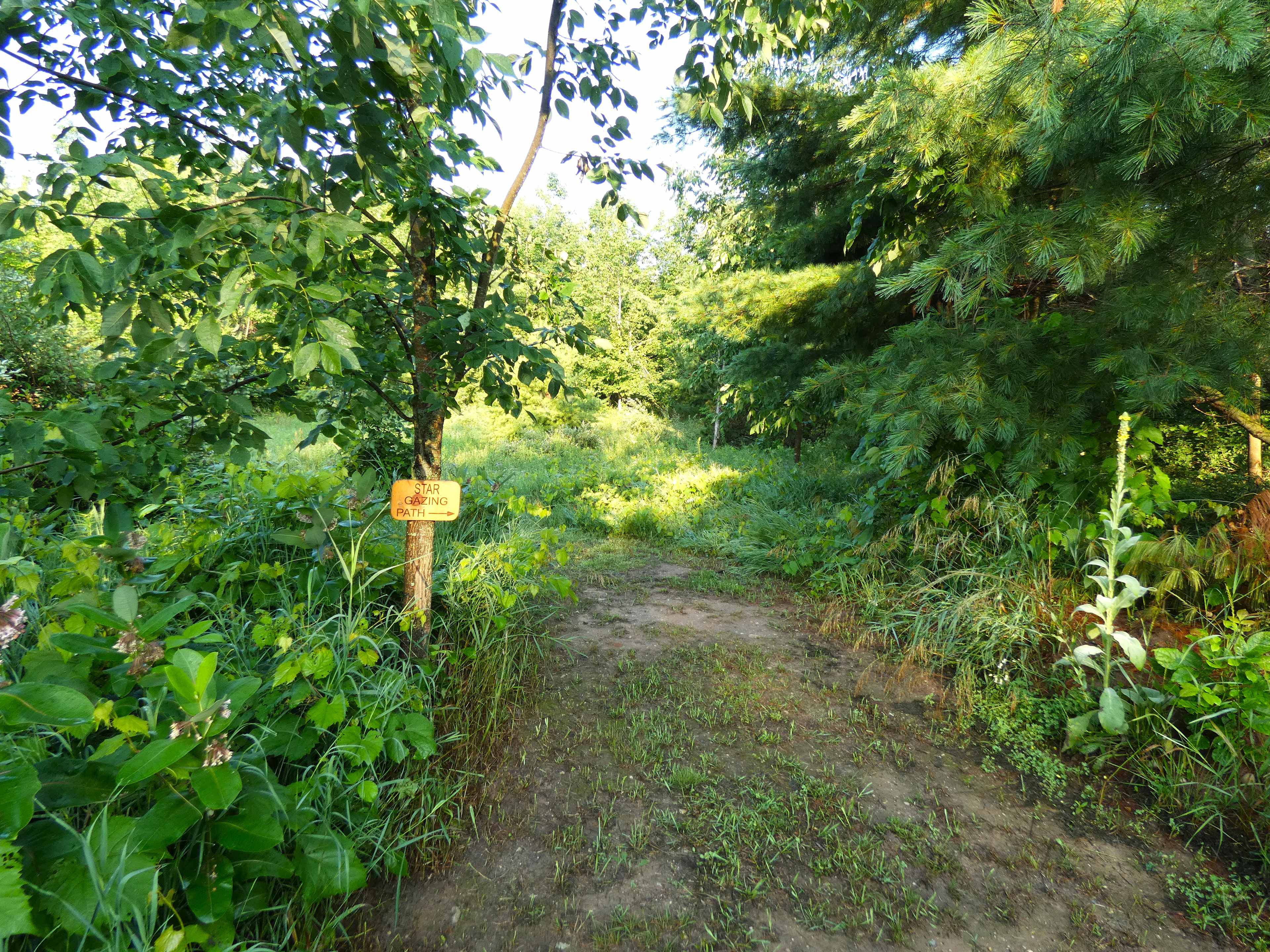 Hidden Meadow