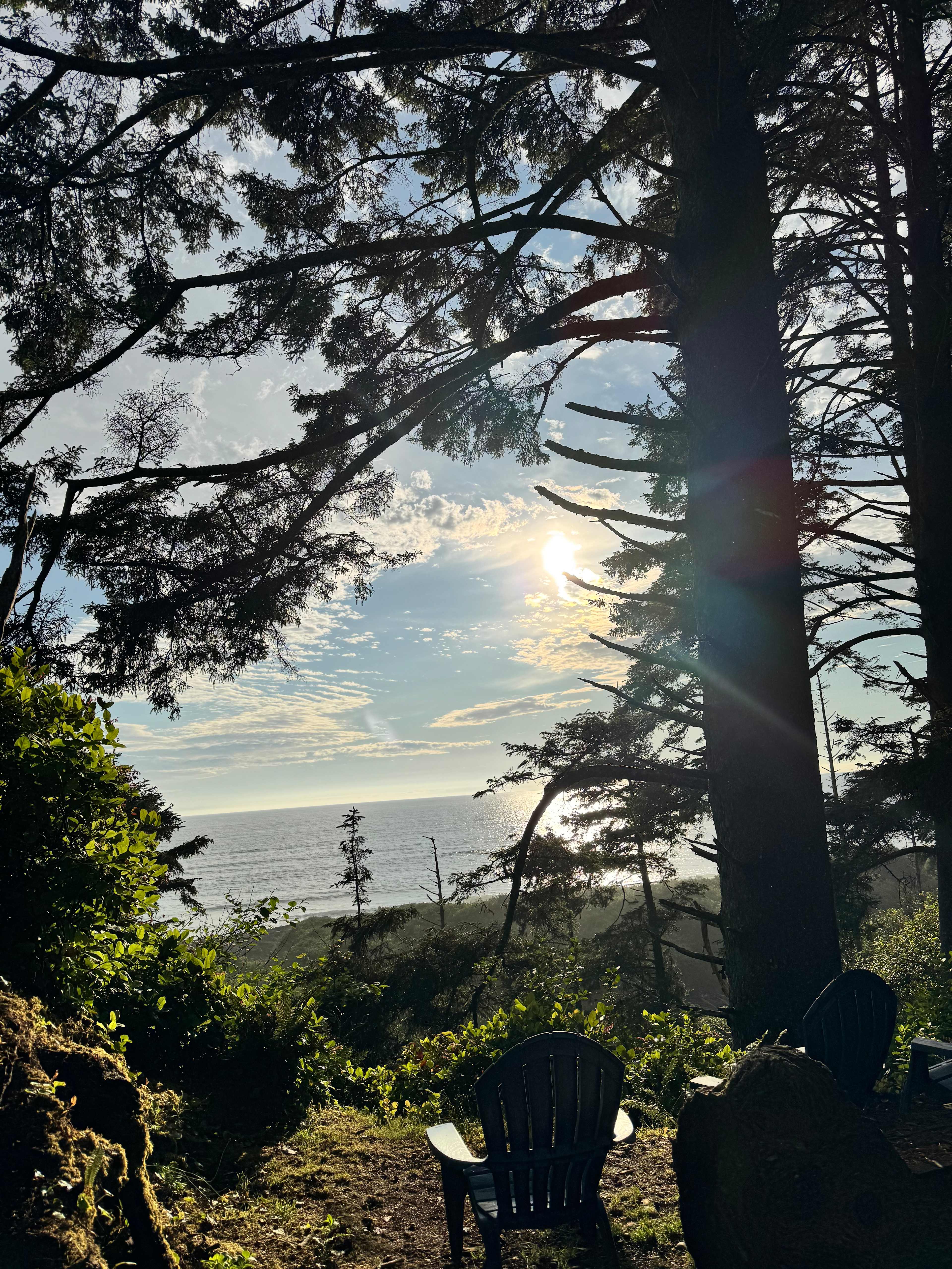 Wild WA Coast Lookout ($75 - $125)
