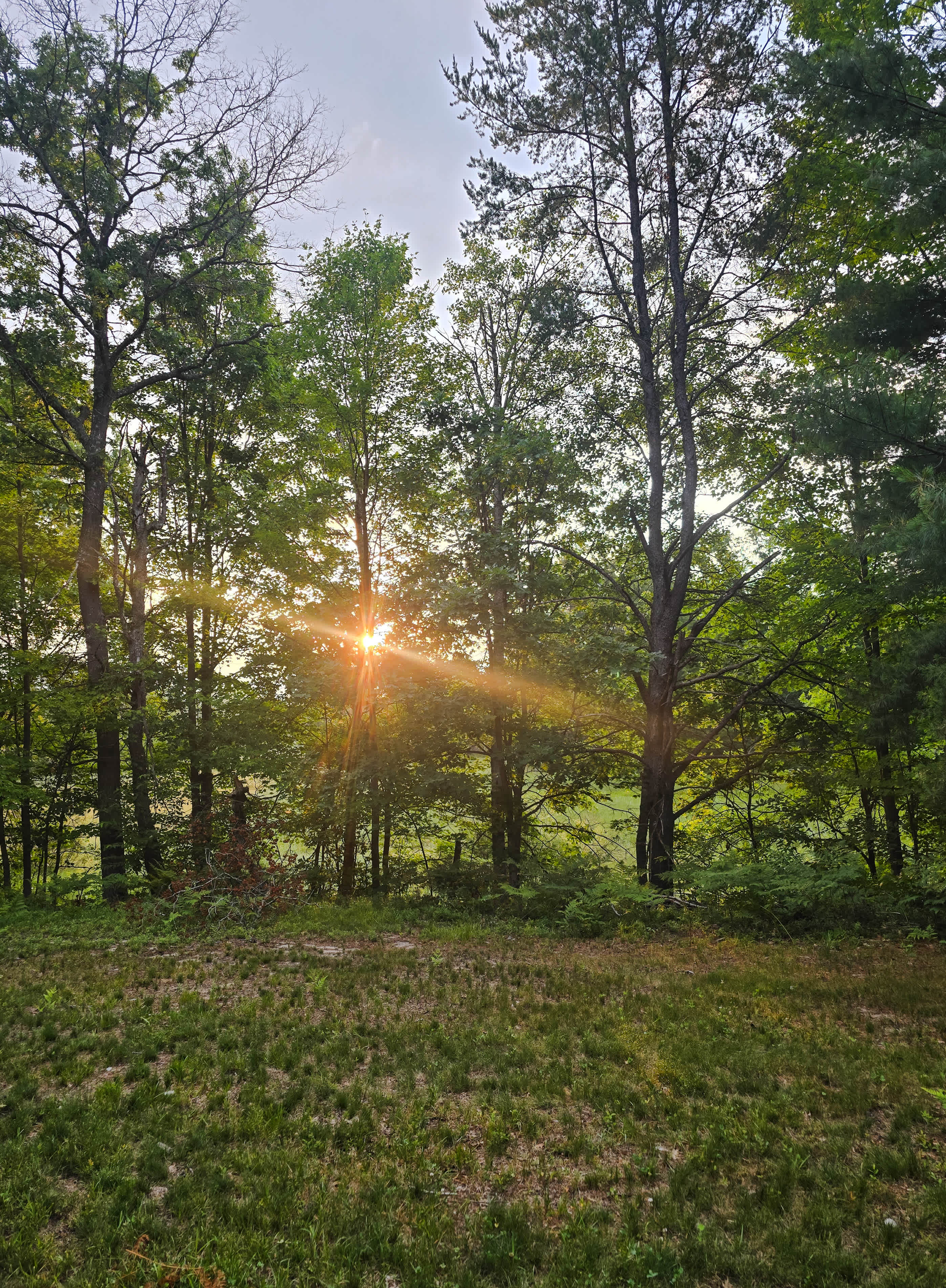 Dan's Acre’s Cabin’s and camping