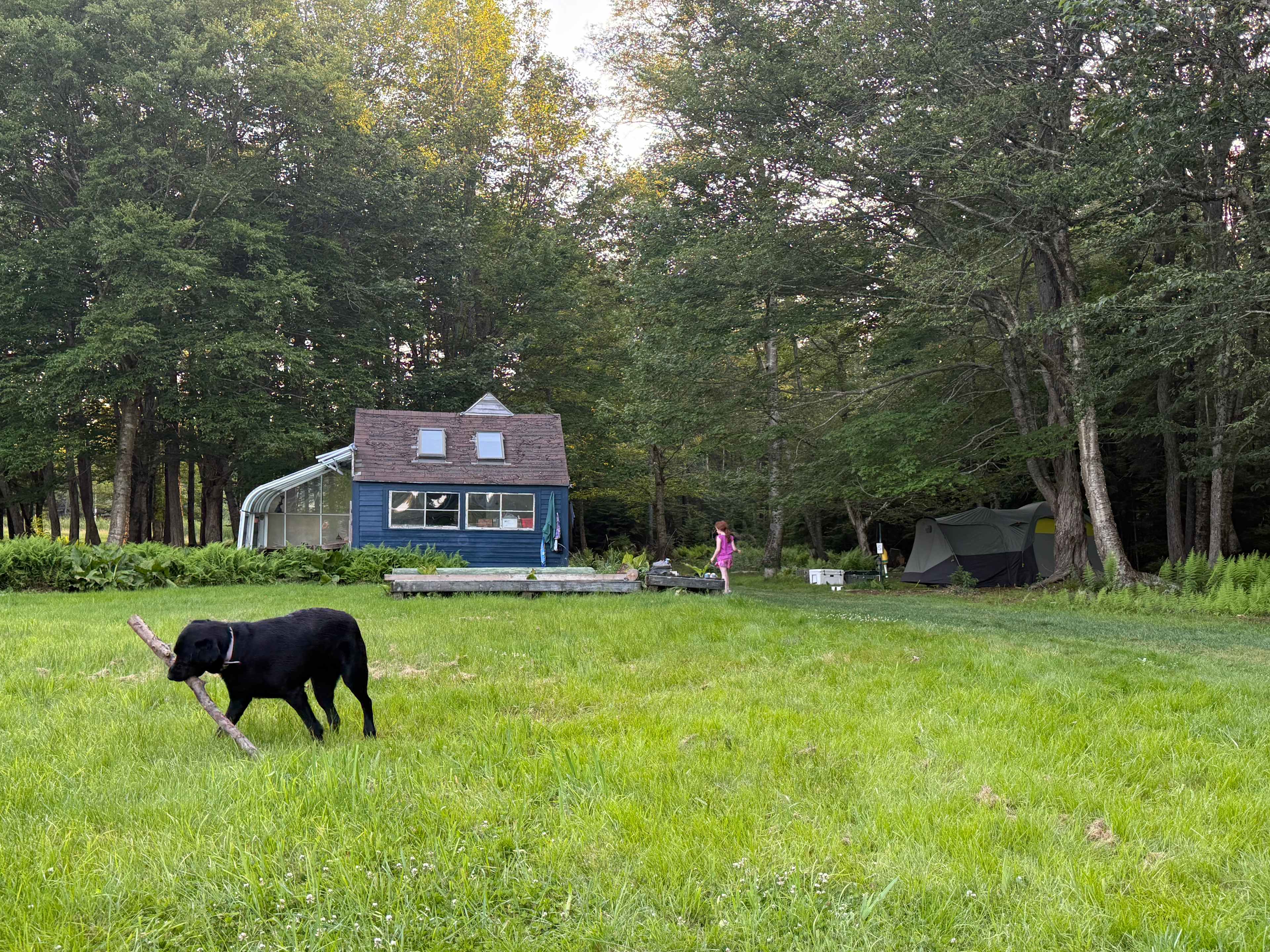 Picture of the site