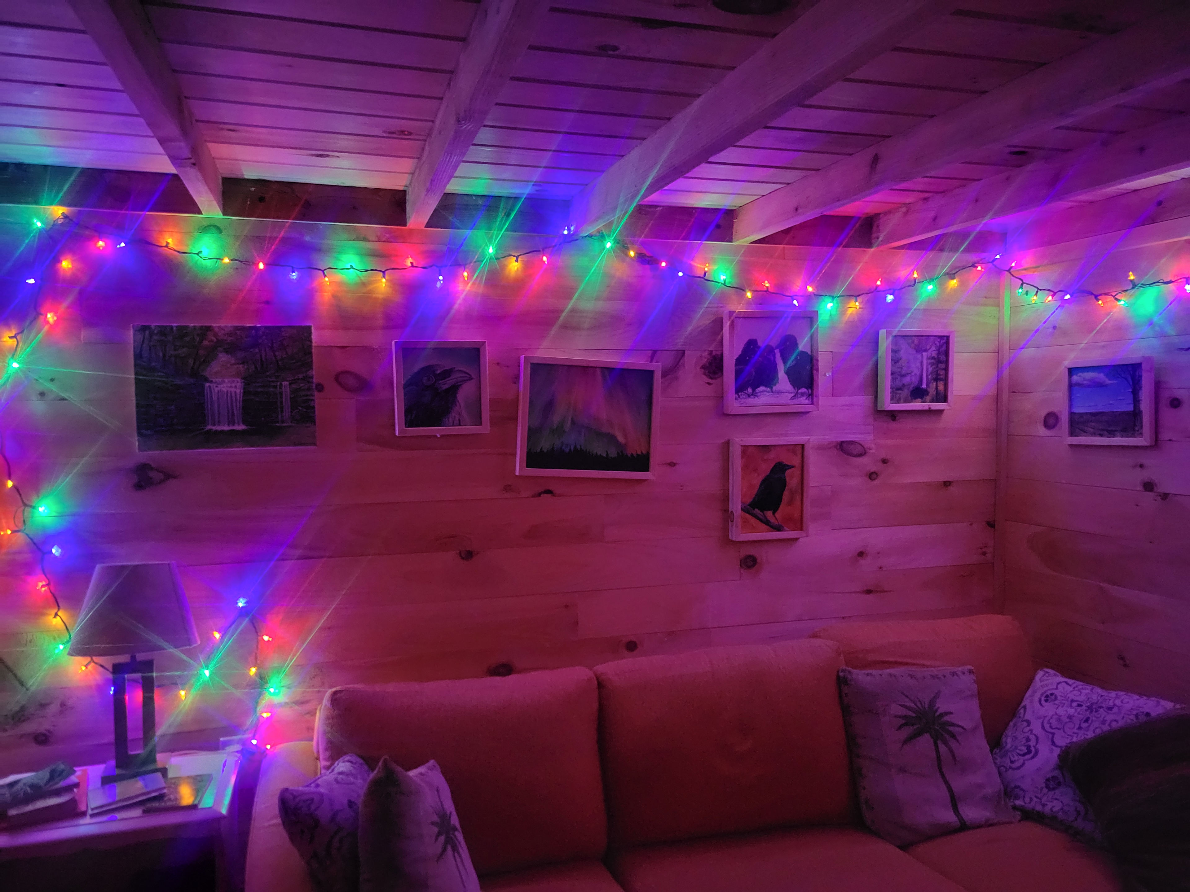 Ithaca Artsy Bunkie