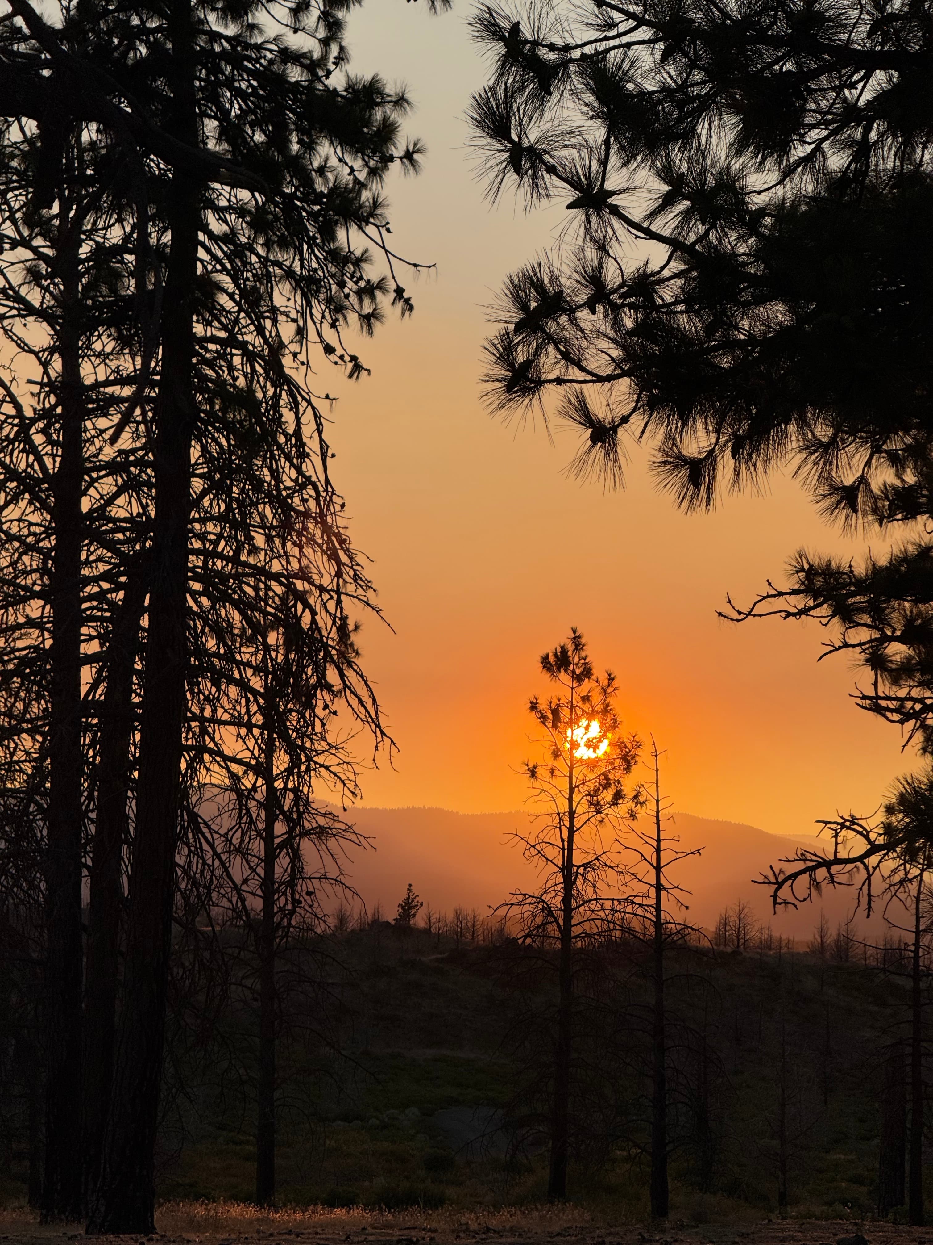 Juniper Valley Campsites