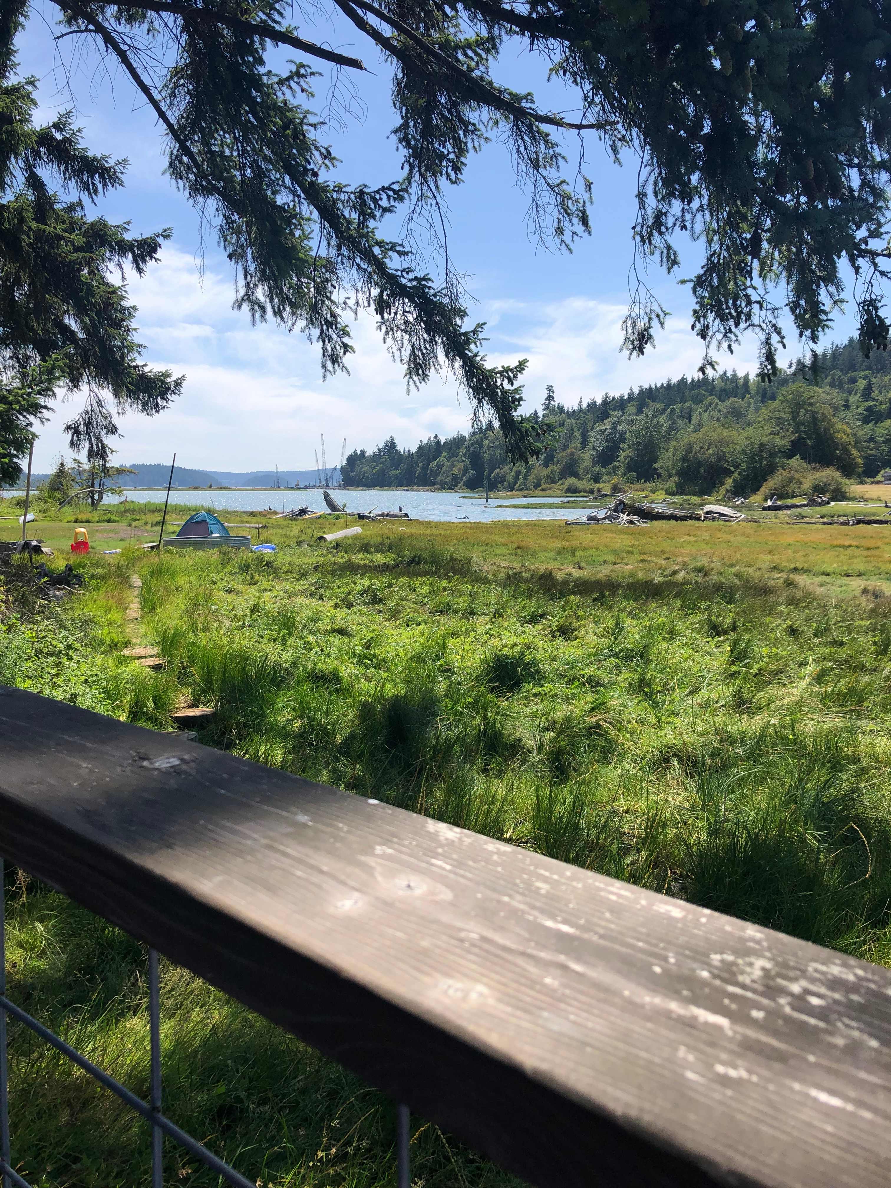 View from the front porch of the cabin