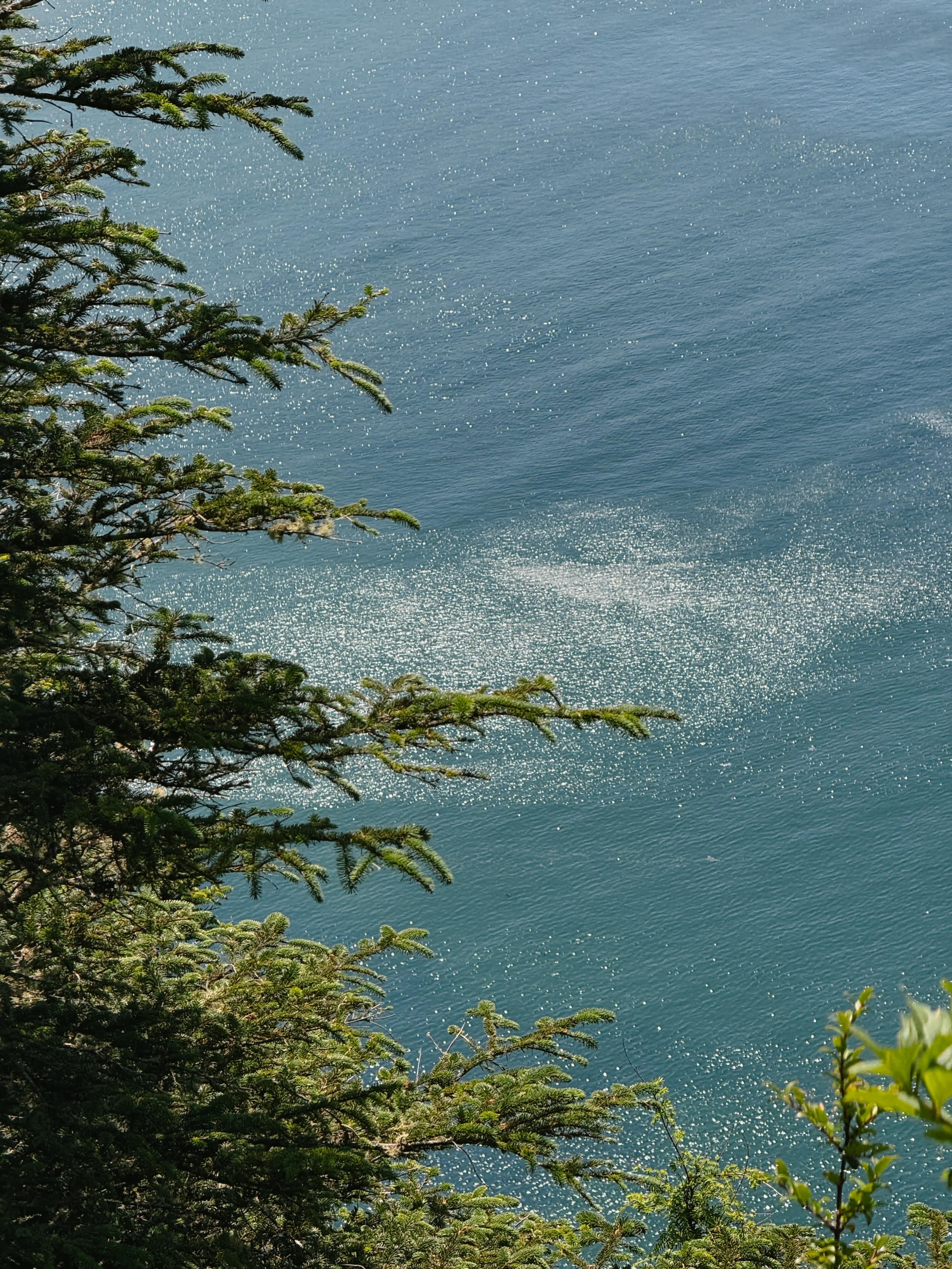 cape overlook state park 