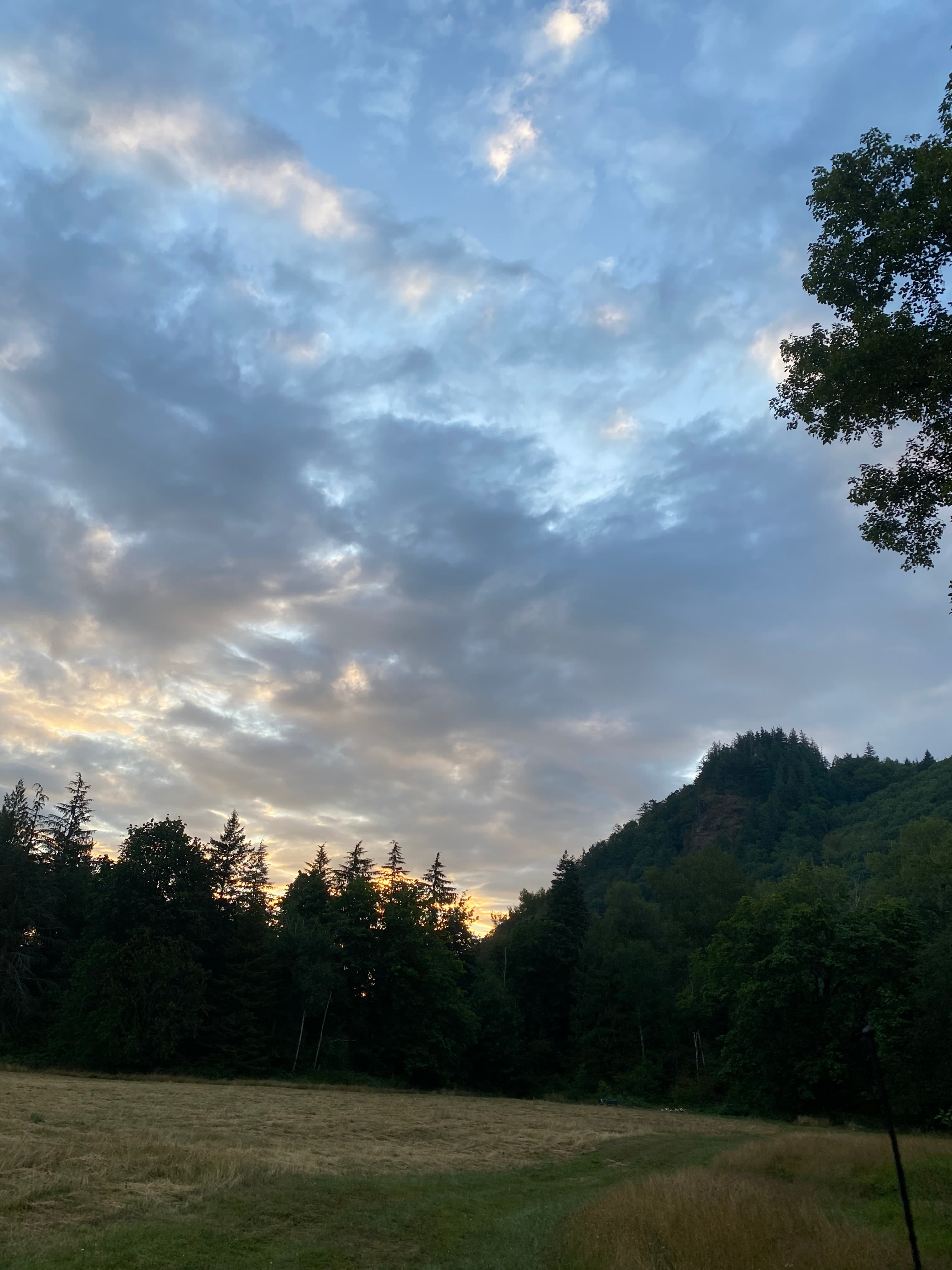 Hello new day! 