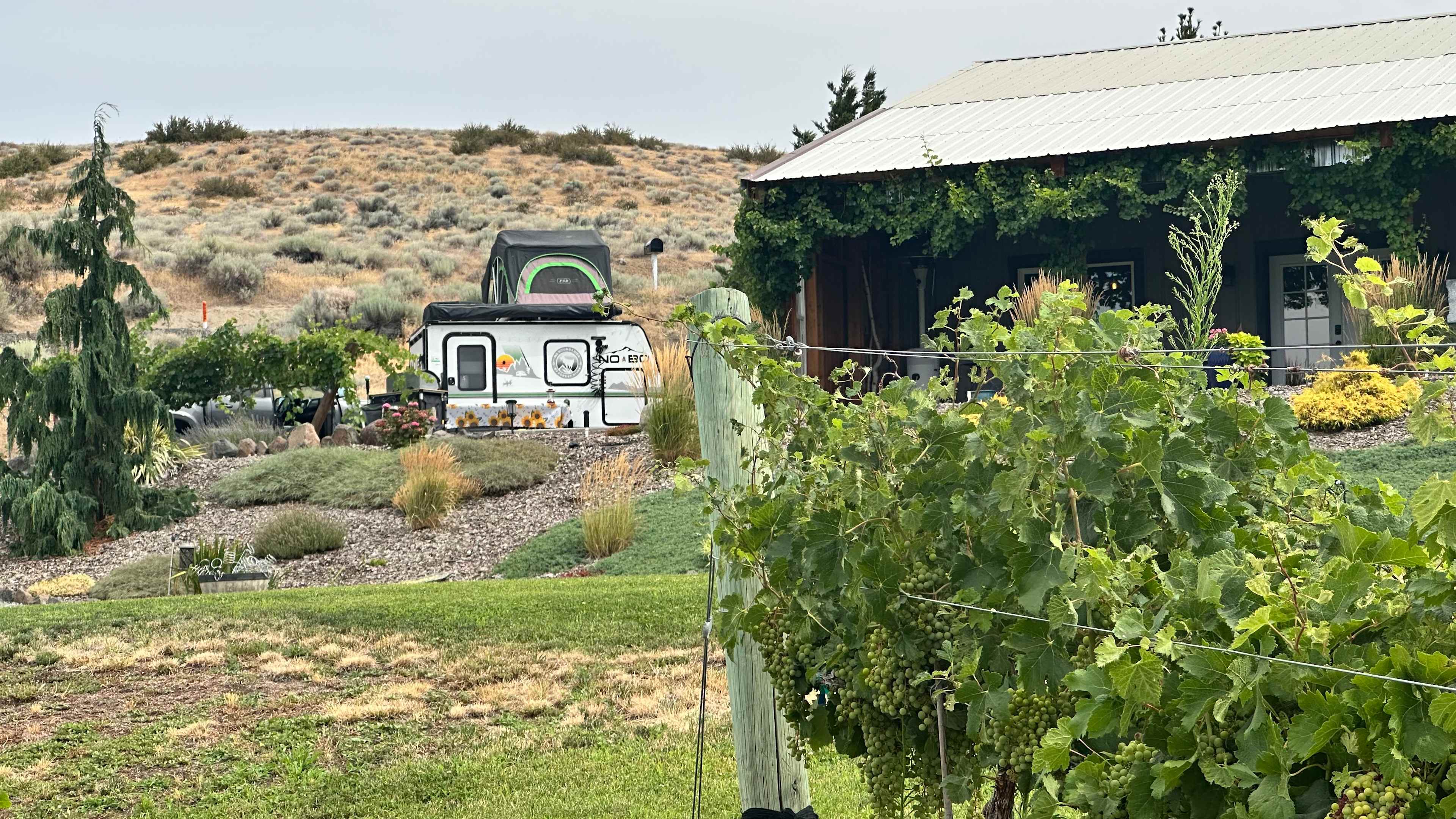 Bianchi Vineyards RV Site