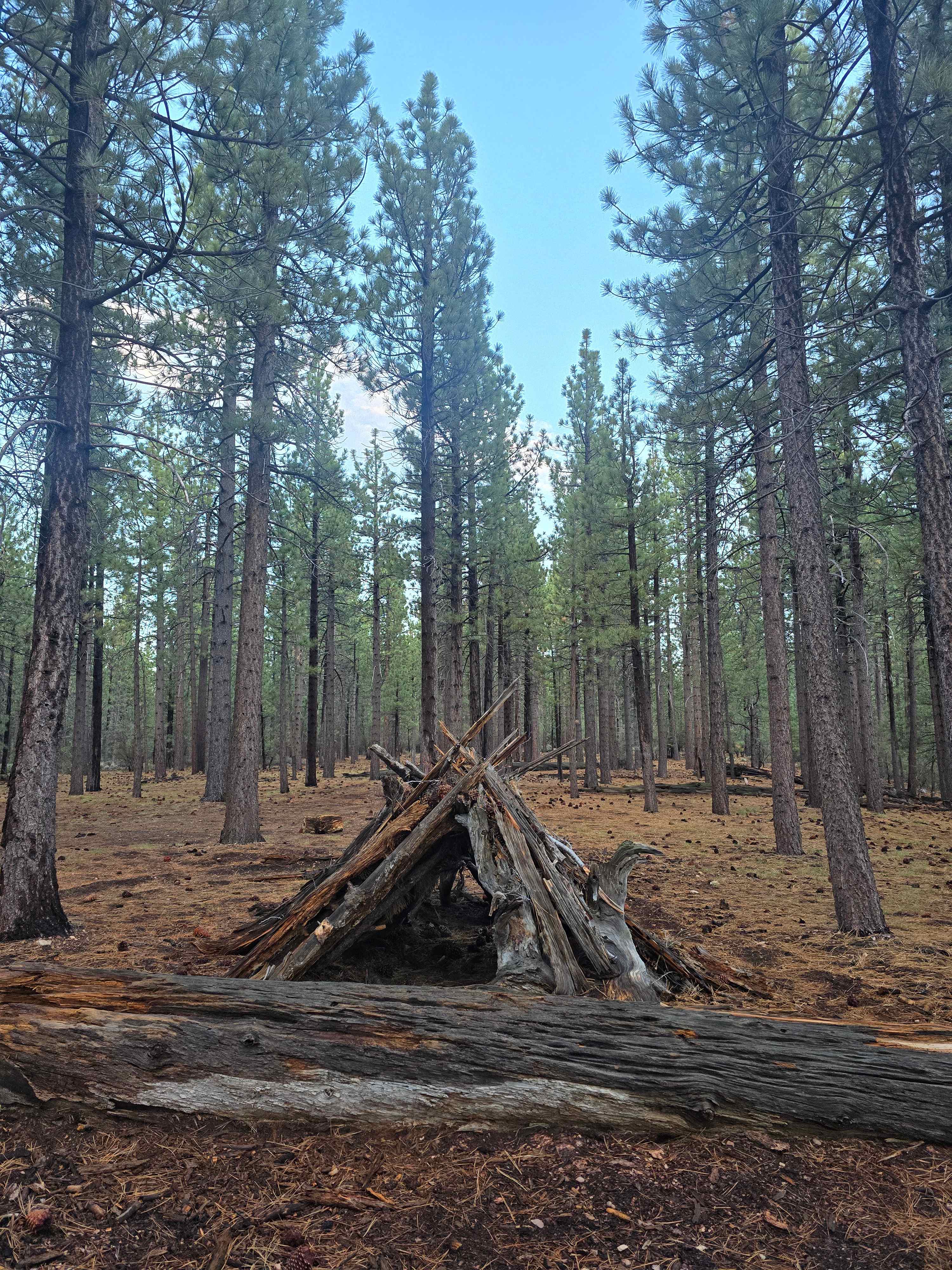 Holcomb Valley Ranch