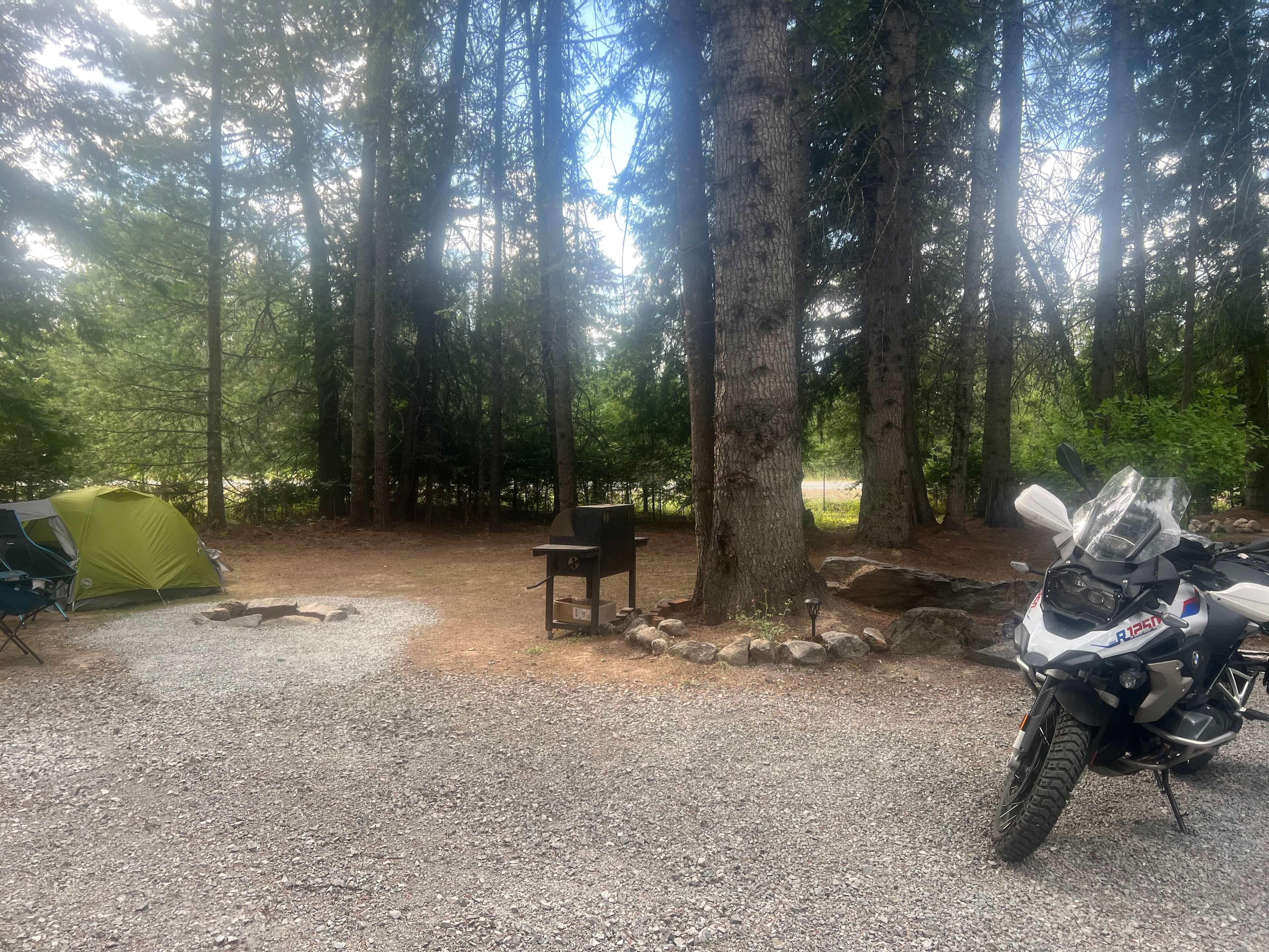 Under the Cedars