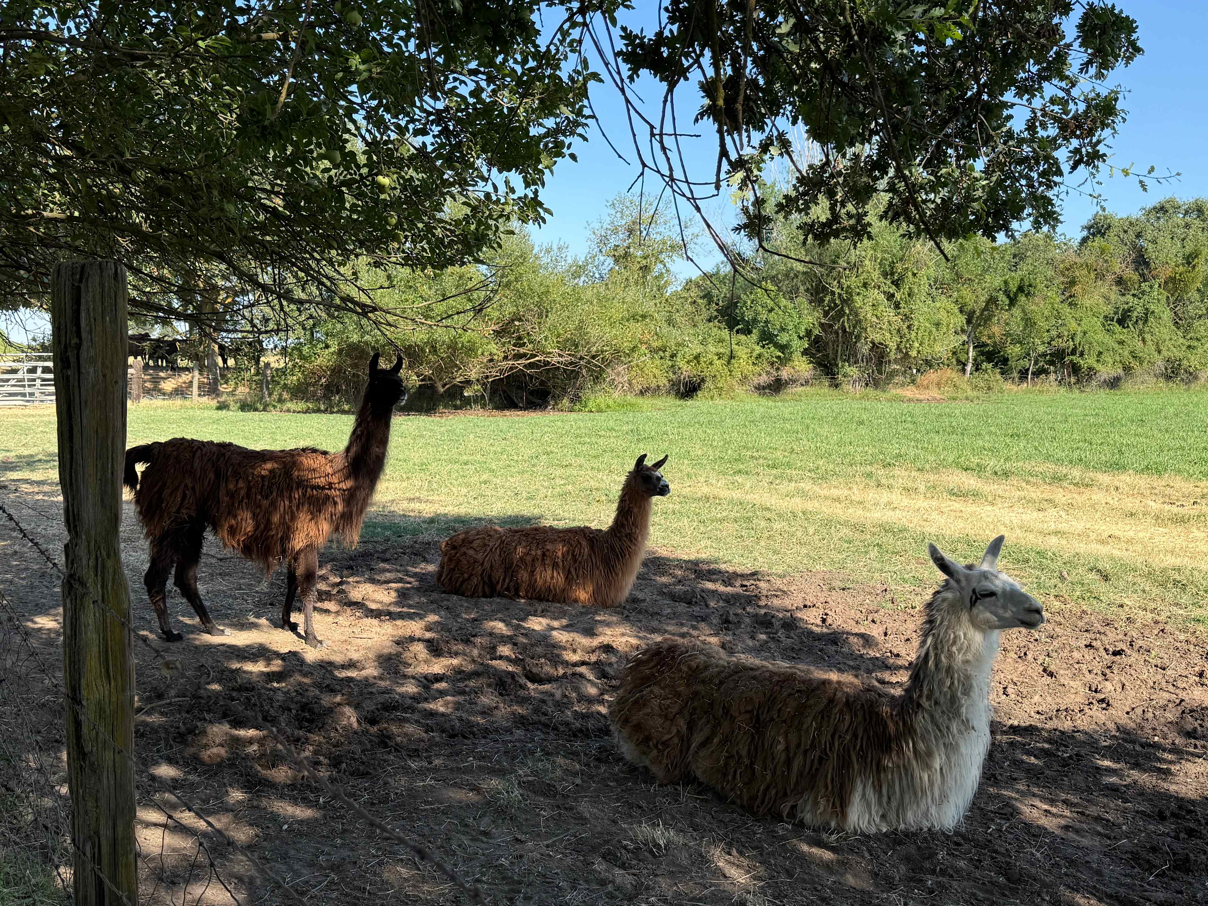 Walden Ranch