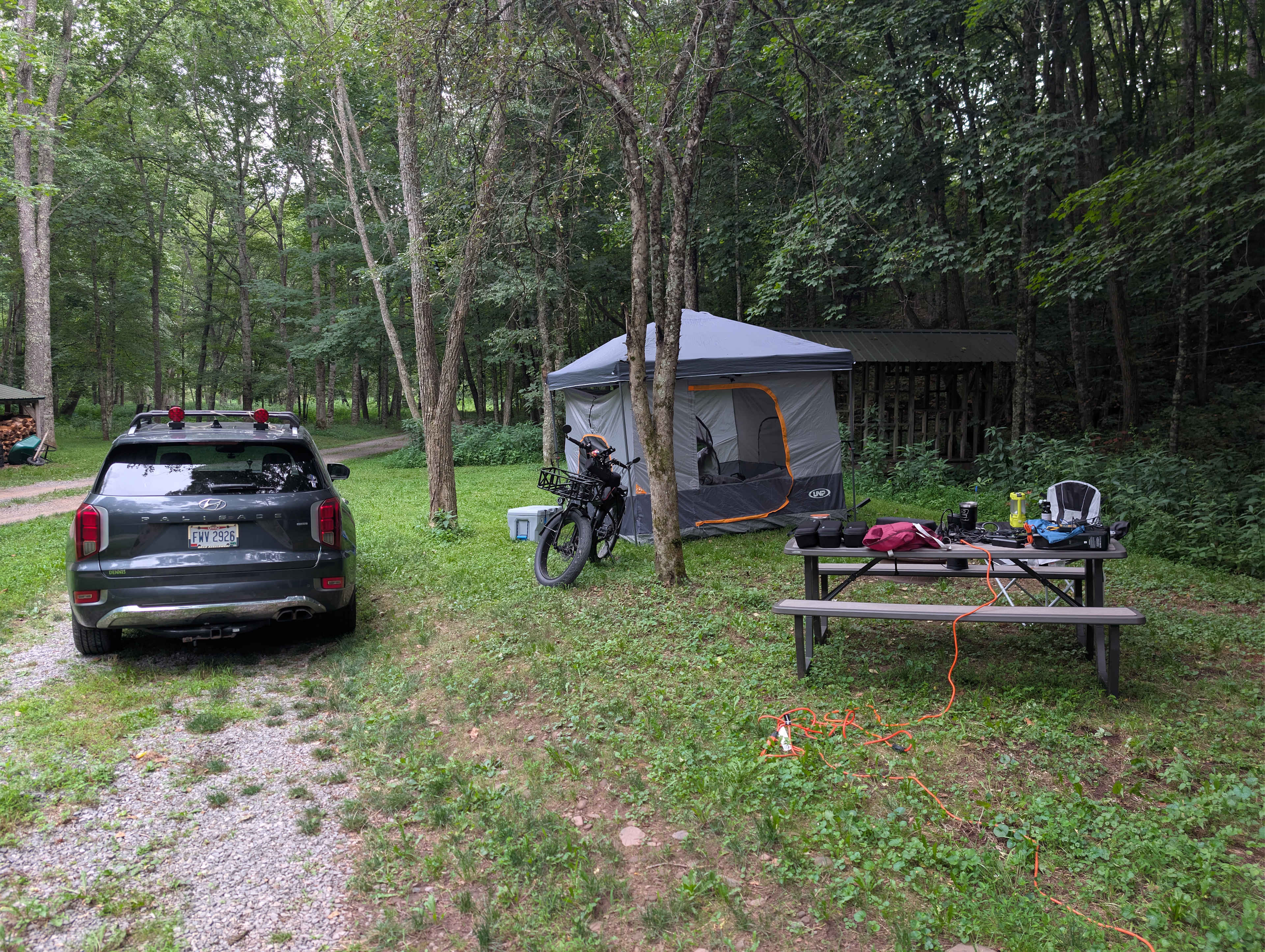 Site 11