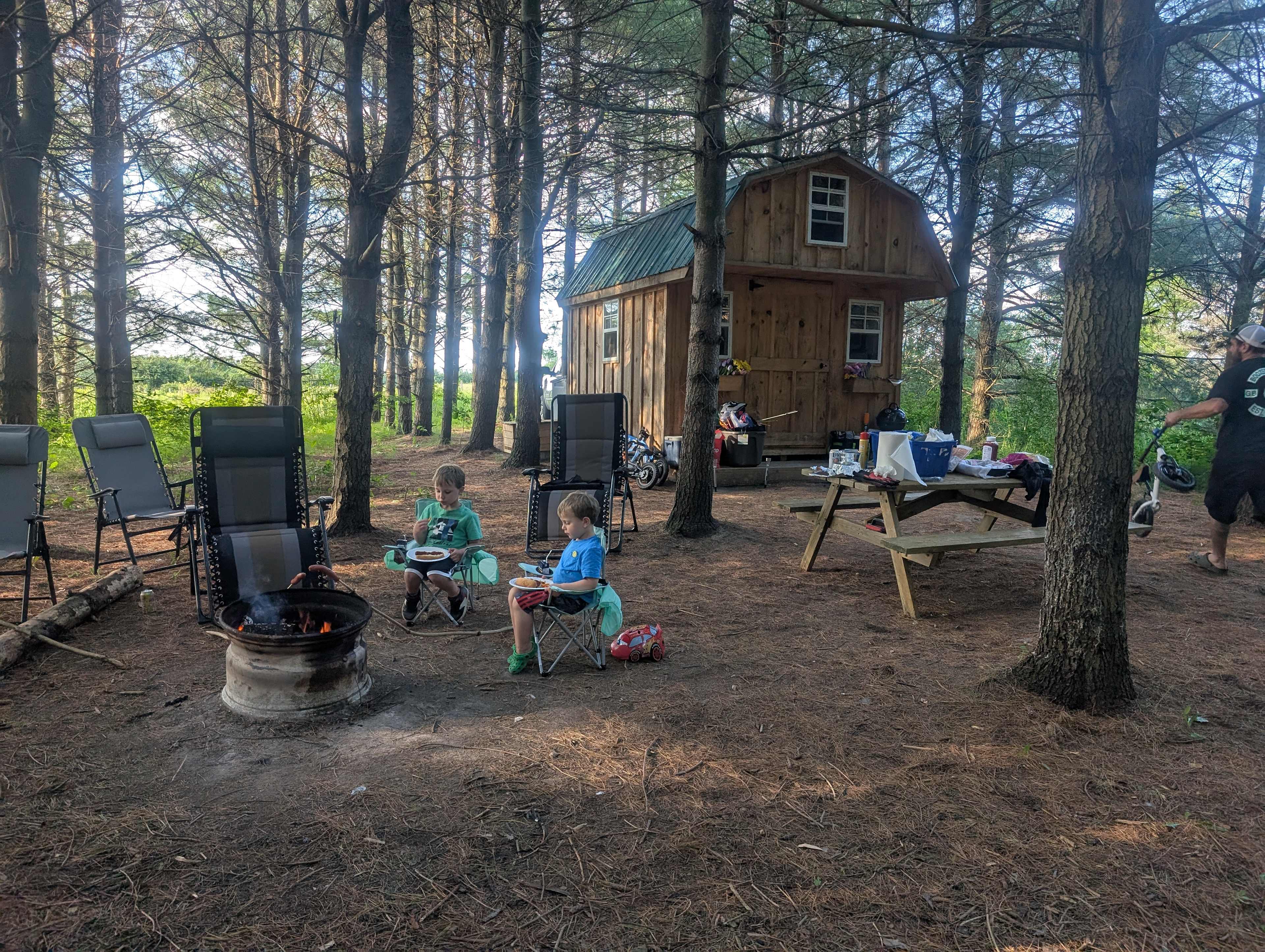 Pine the Sky
