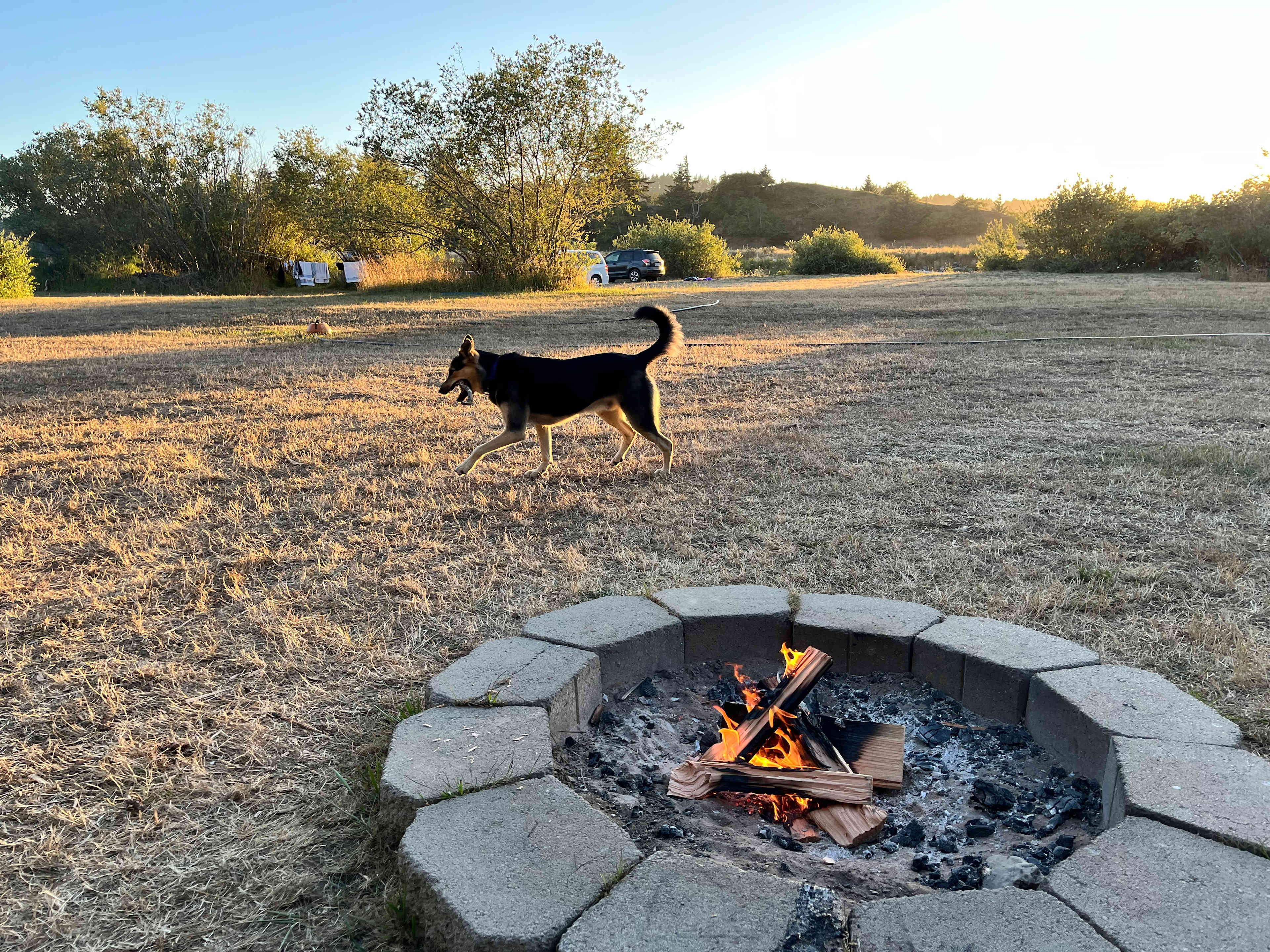 My dog having the best time of his life while I enjoyed my fire