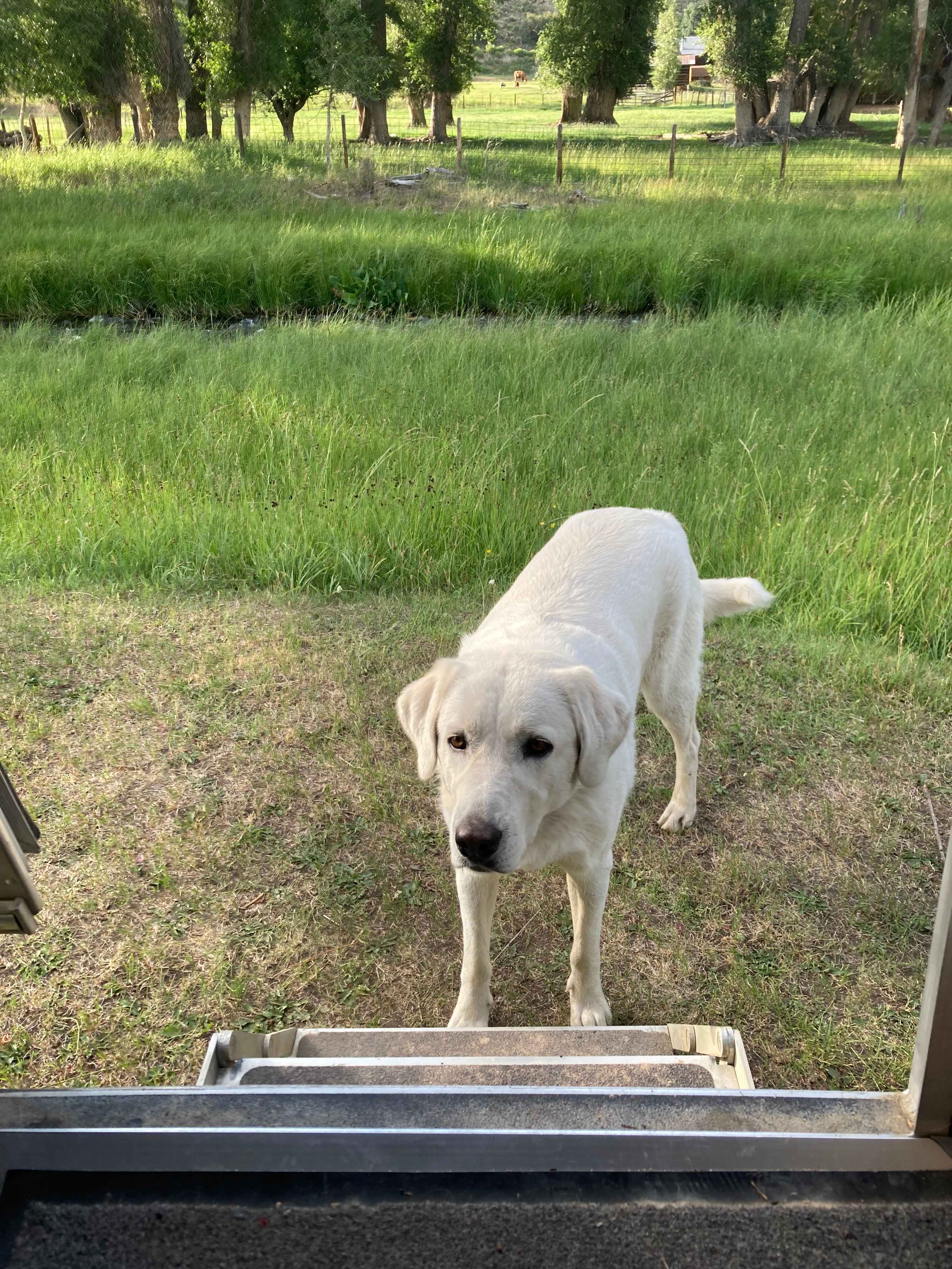 Valley of the Bear Ranch